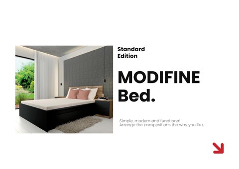 Modifine 第 10 页