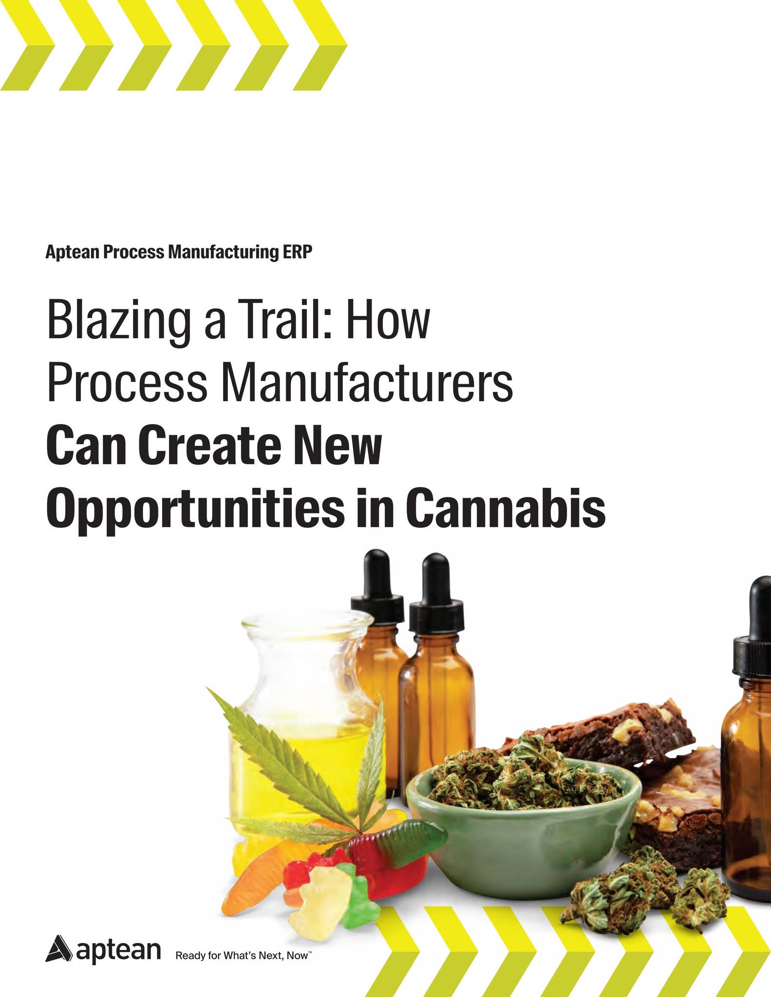 Aptean Process Manufacturing ERP Whitepaper: Blazing a Trail by Aptean ...