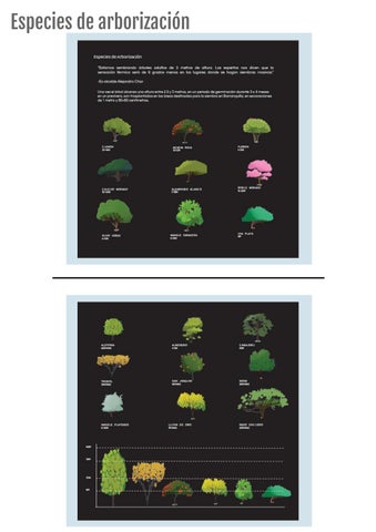 Portafolio - Pablo Maestre 第 12 页
