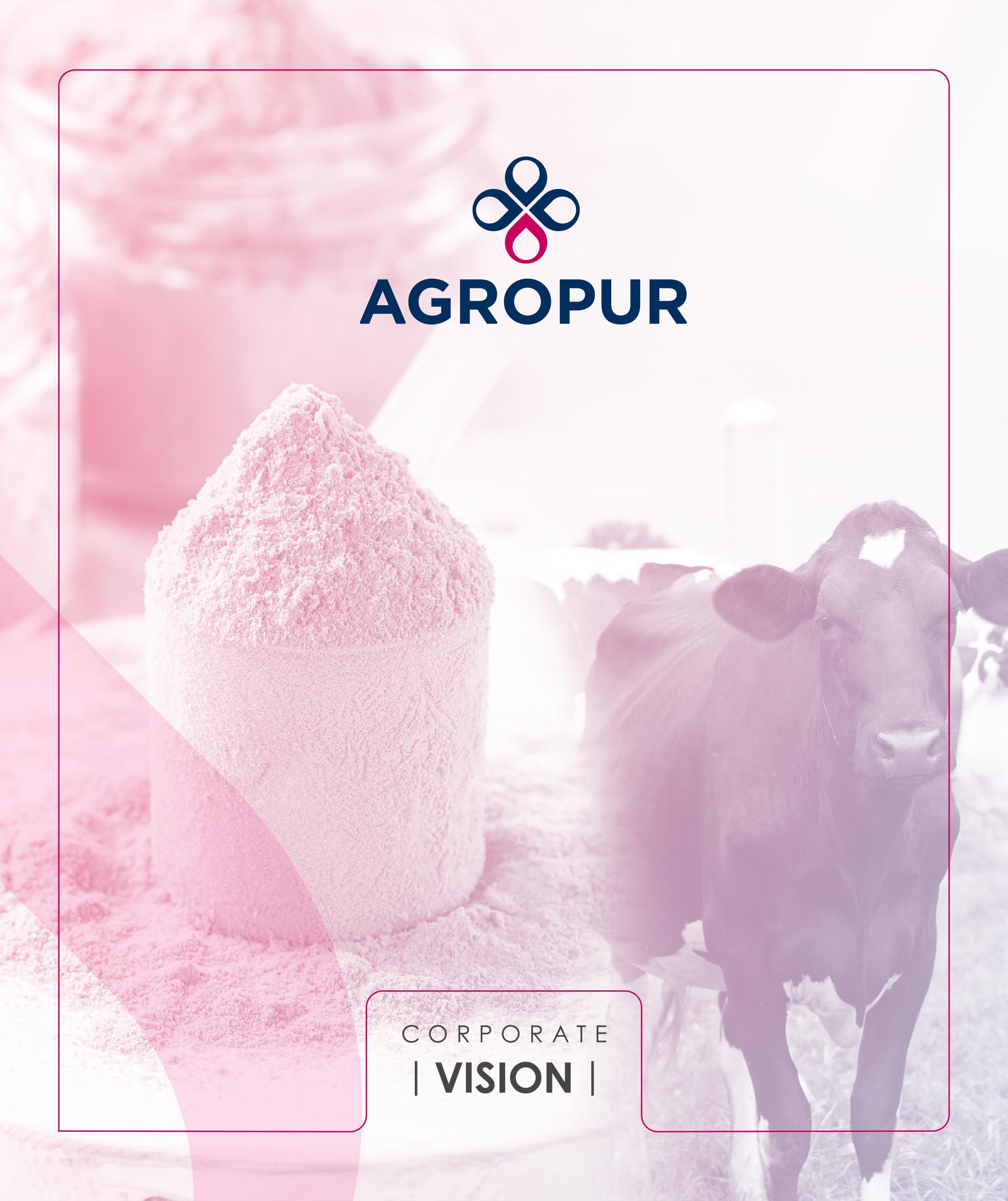 Agropur BBR Brochure by The Boston Business Review Issuu