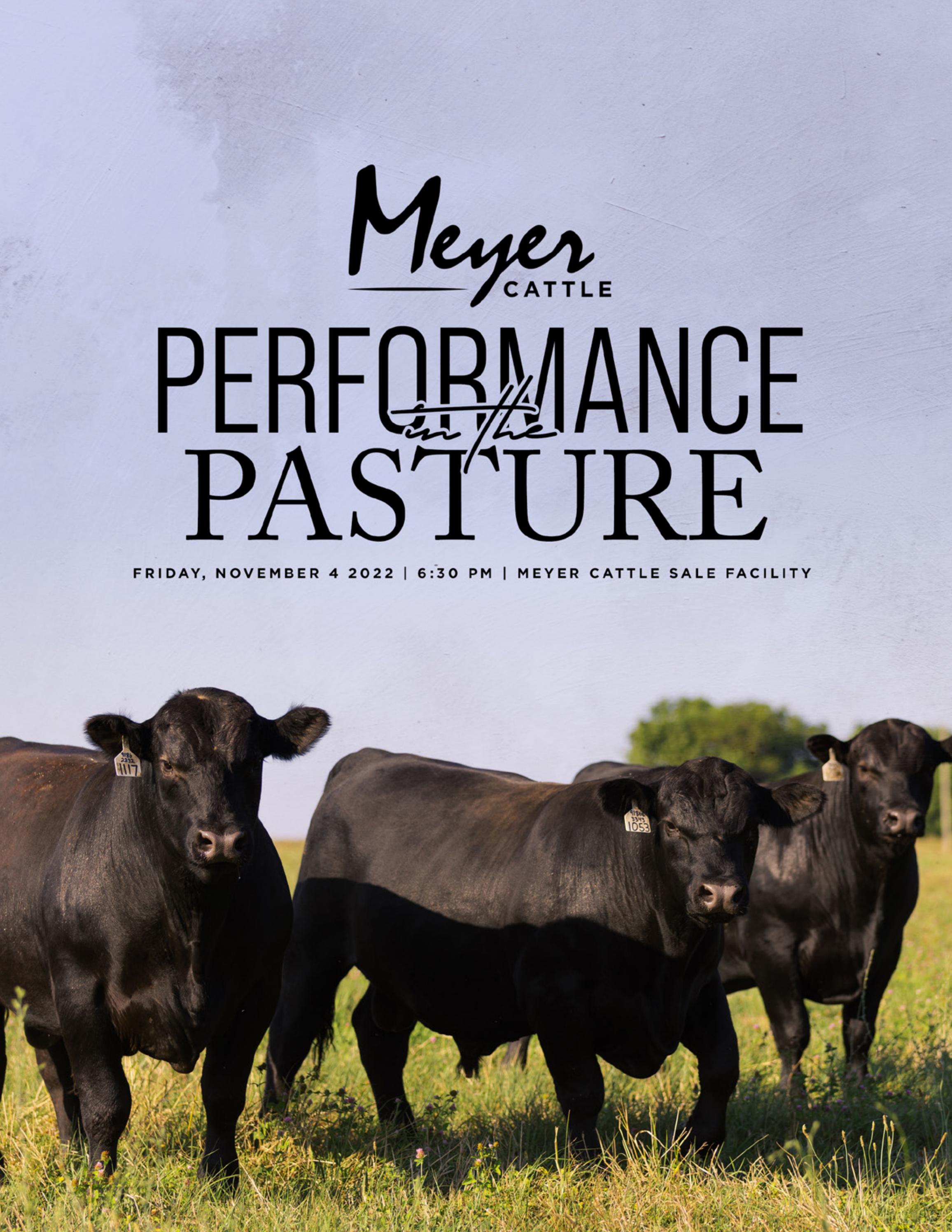 Meyer Cattle 2022 Performance in the Pasture Sale by Ranch House