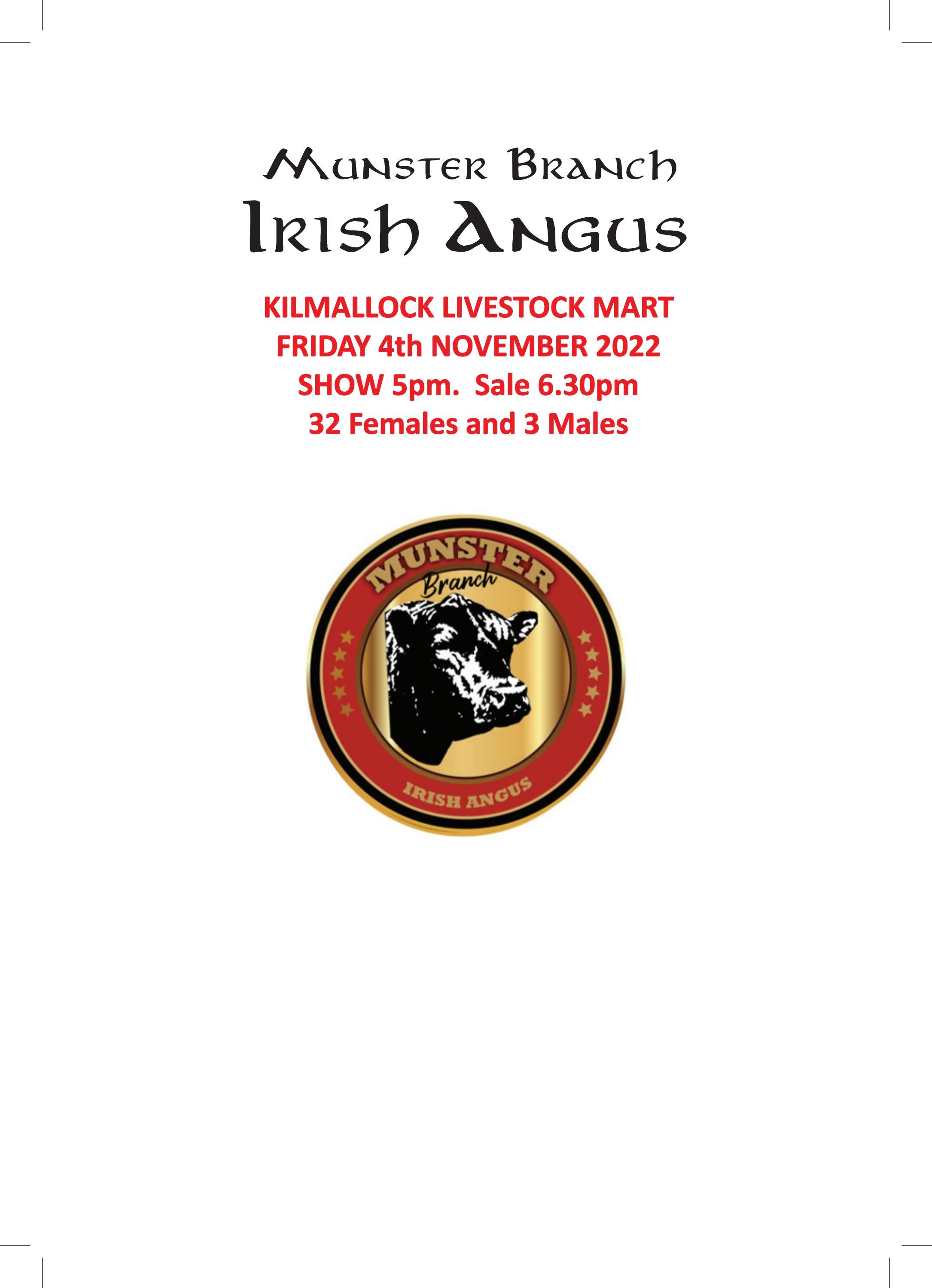 Munster Branch Irish Angus Catalogue 4th November 2022 by