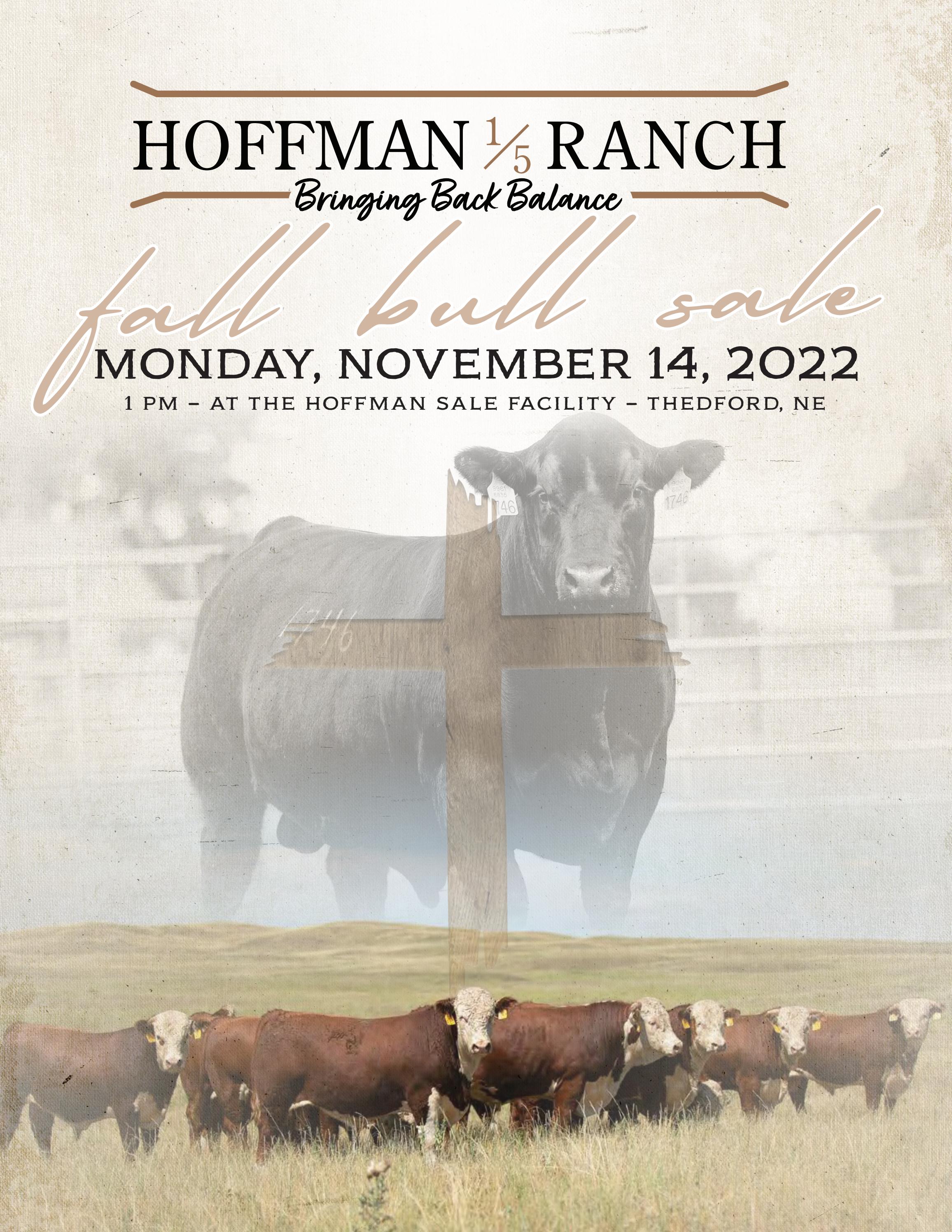 Hoffman Ranch Fall Bull Sale by picture