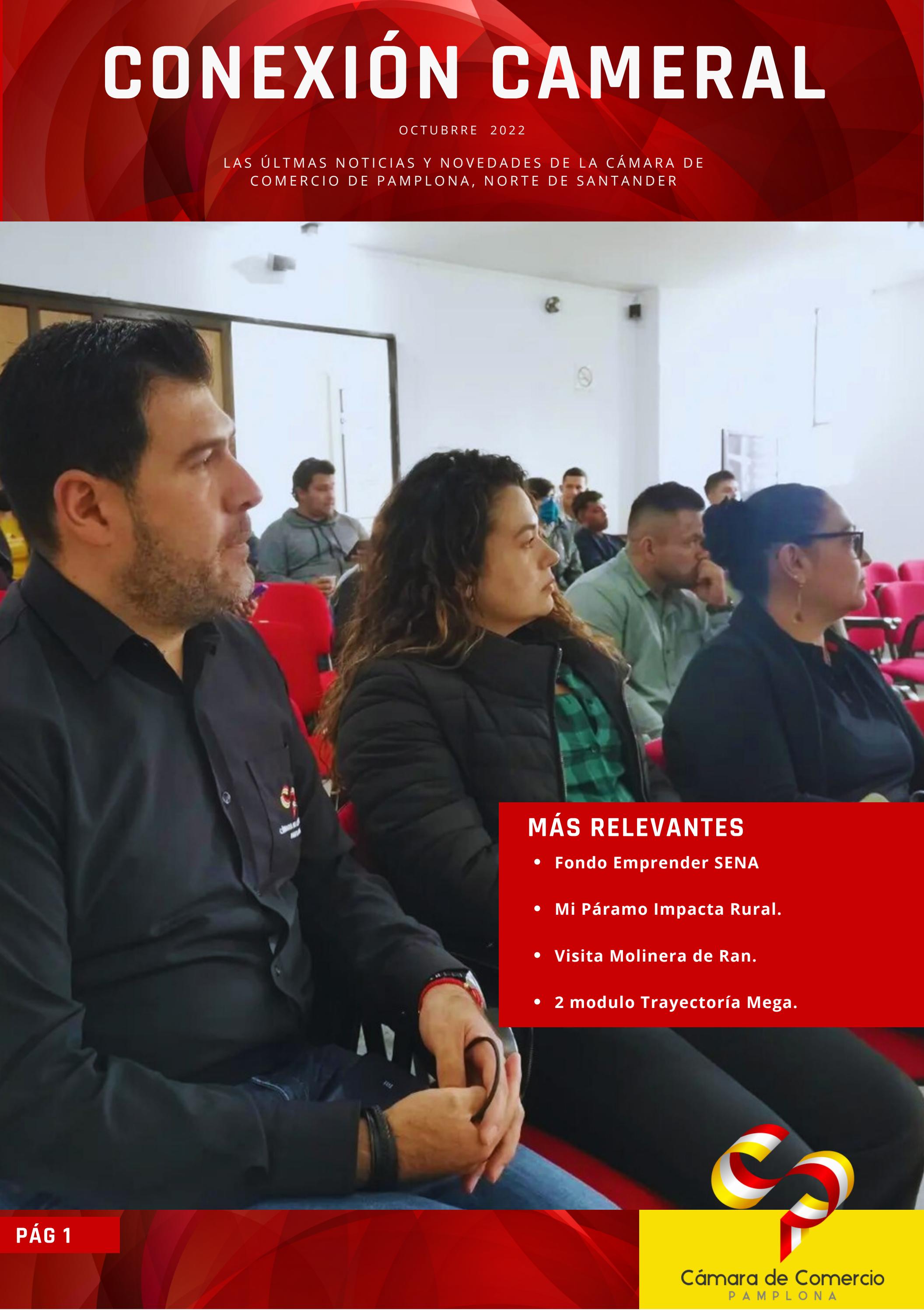 III BOLETIN INFORMATIVO 2022-2 by Cámara de Comercio Pamplona - Issuu