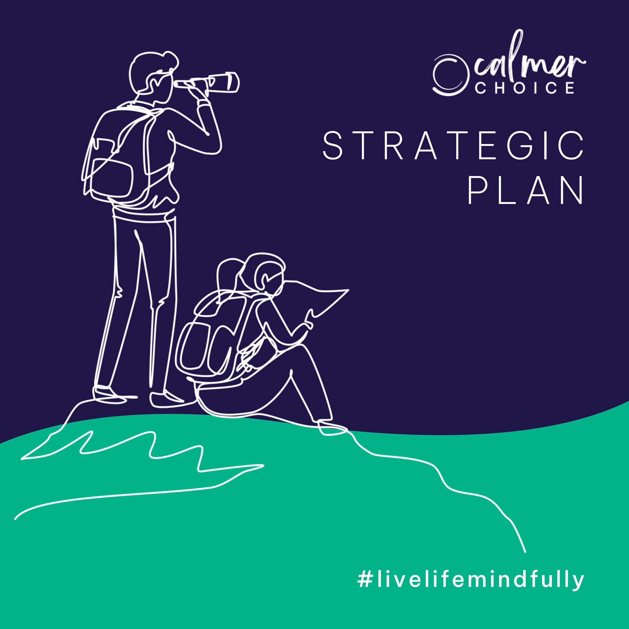 Calmer Choice Strategic Plan - October, 2022 by Two Crows Creative ...