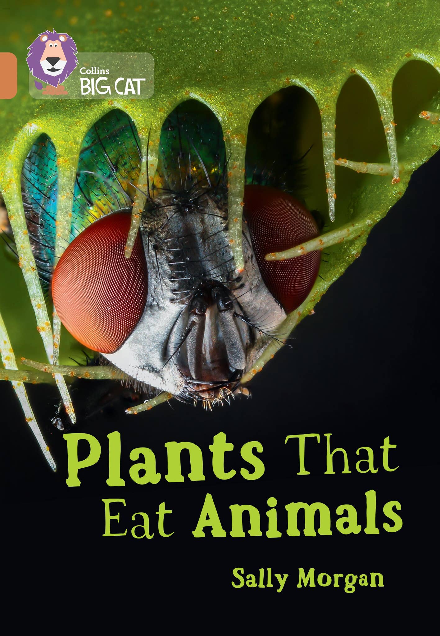 Plants That Eat Animals KS2 by Collins - Issuu
