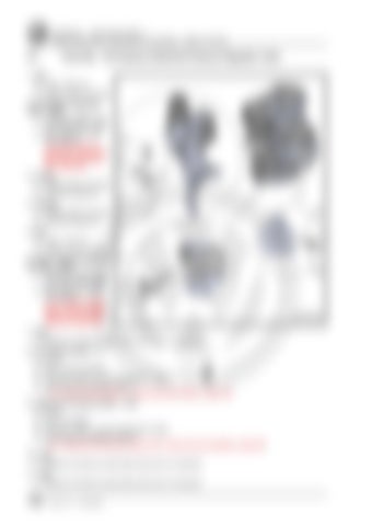 Page 206