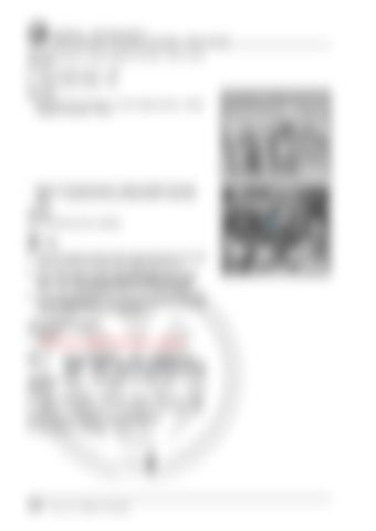 Page 342