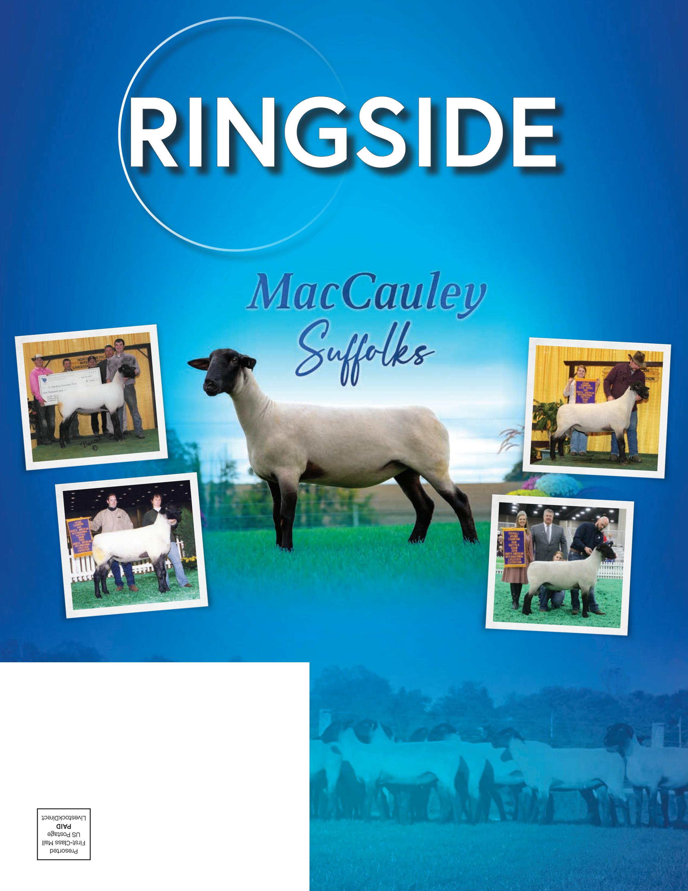 Ringside Sheep Magazine 2022 Nov Issue by LivestockDirect Issuu