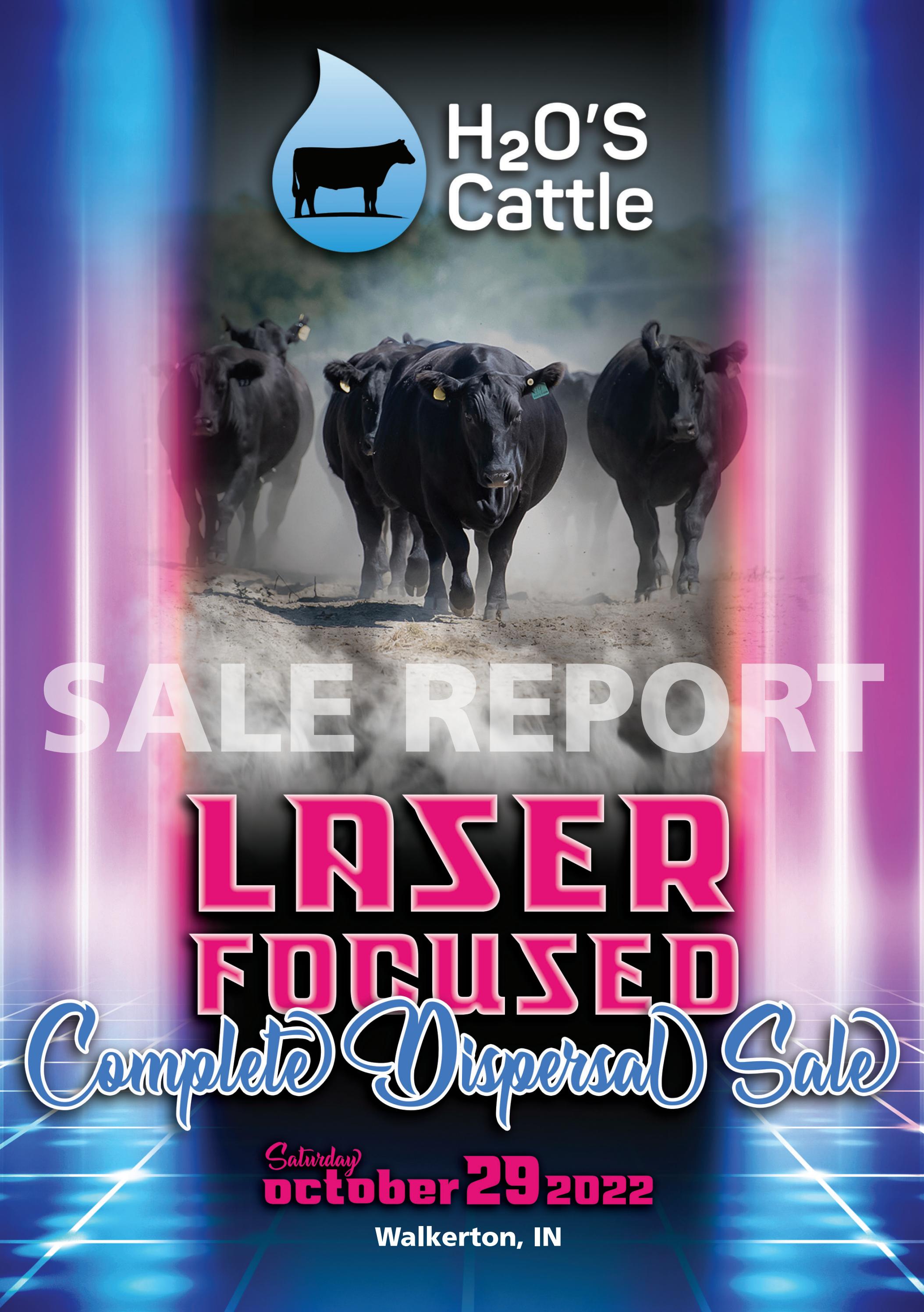 2022 H2OS Cattle Sale Report by Eberspacher Enterprises Issuu