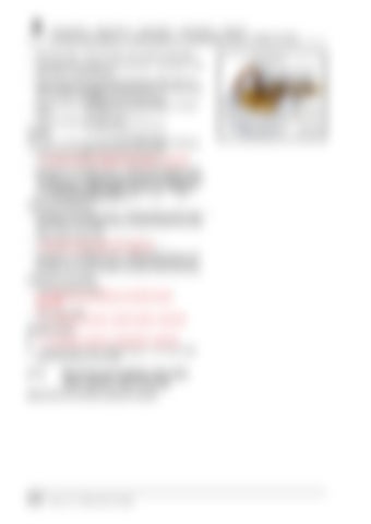 Page 232