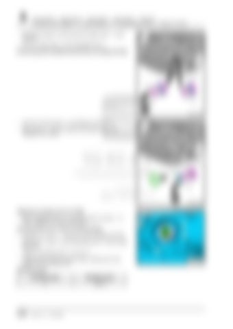 Page 242