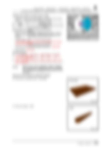 Page 335