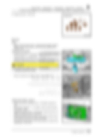 Page 343