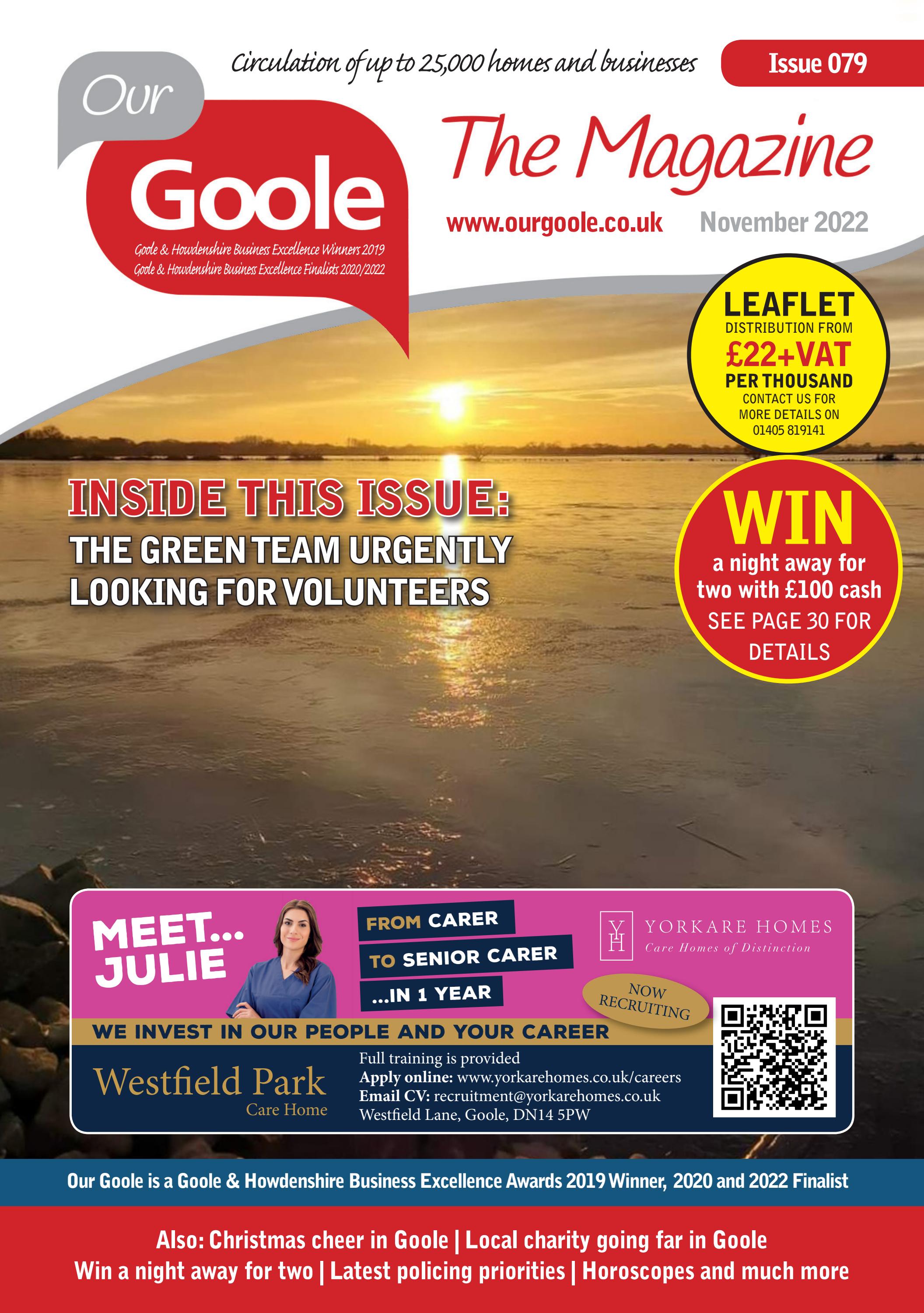 Goole Flight - gtxmfs5