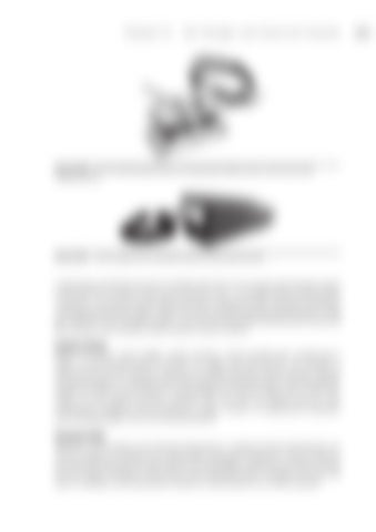 Page 244
