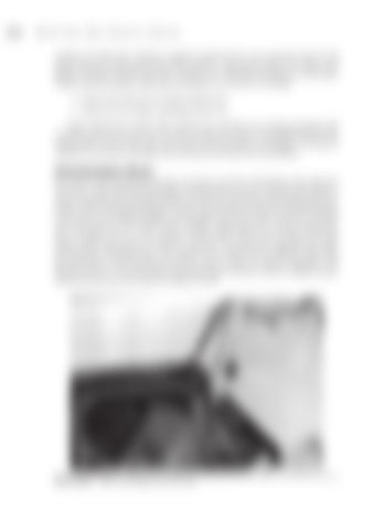 Page 267