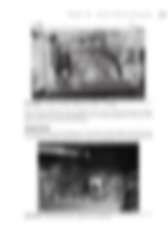 Page 278