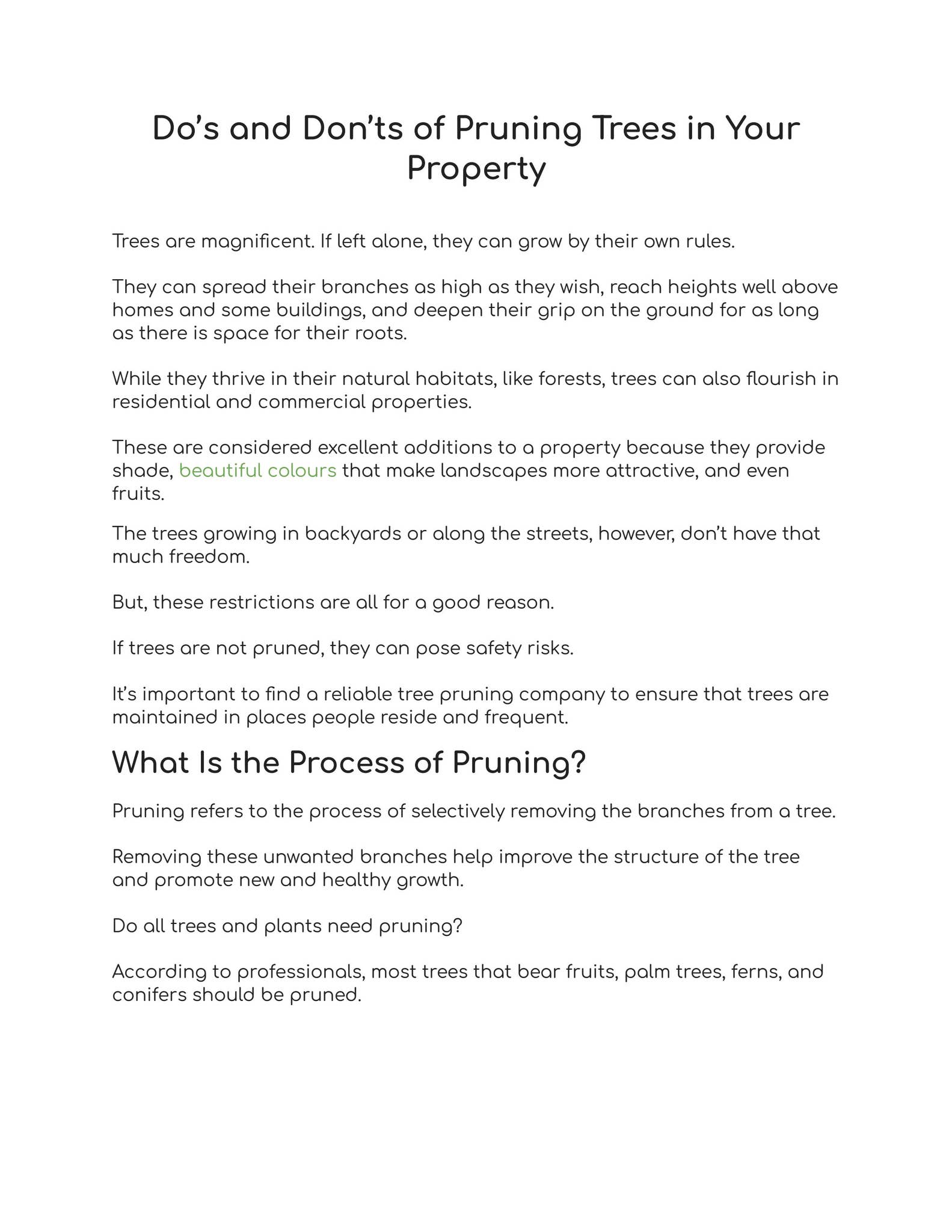 Do’s and Don’ts of Pruning Trees in Your Property by Caledon Treeland ...
