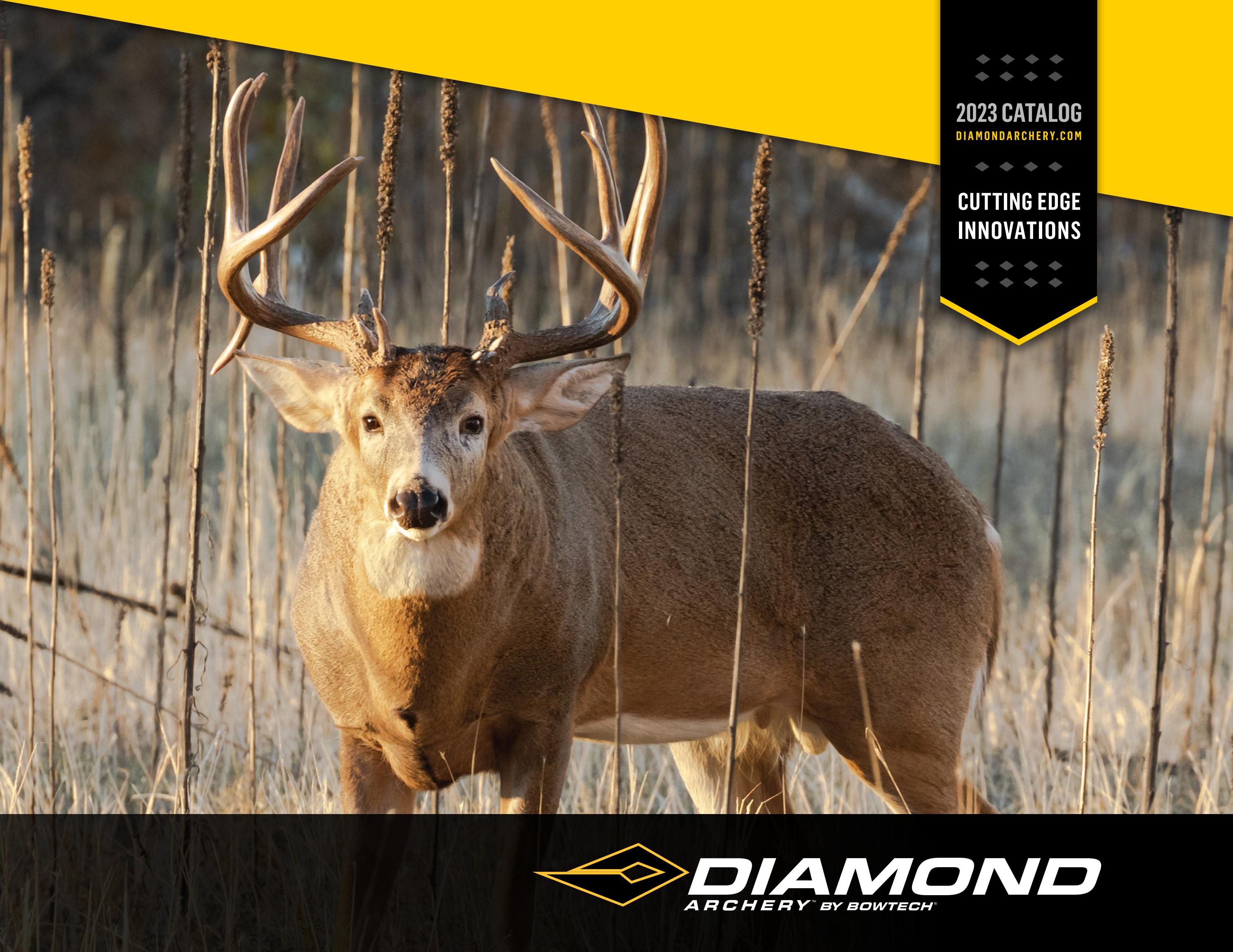 Diamond Archery 2023 Catalog by Bowtech Archery Issuu