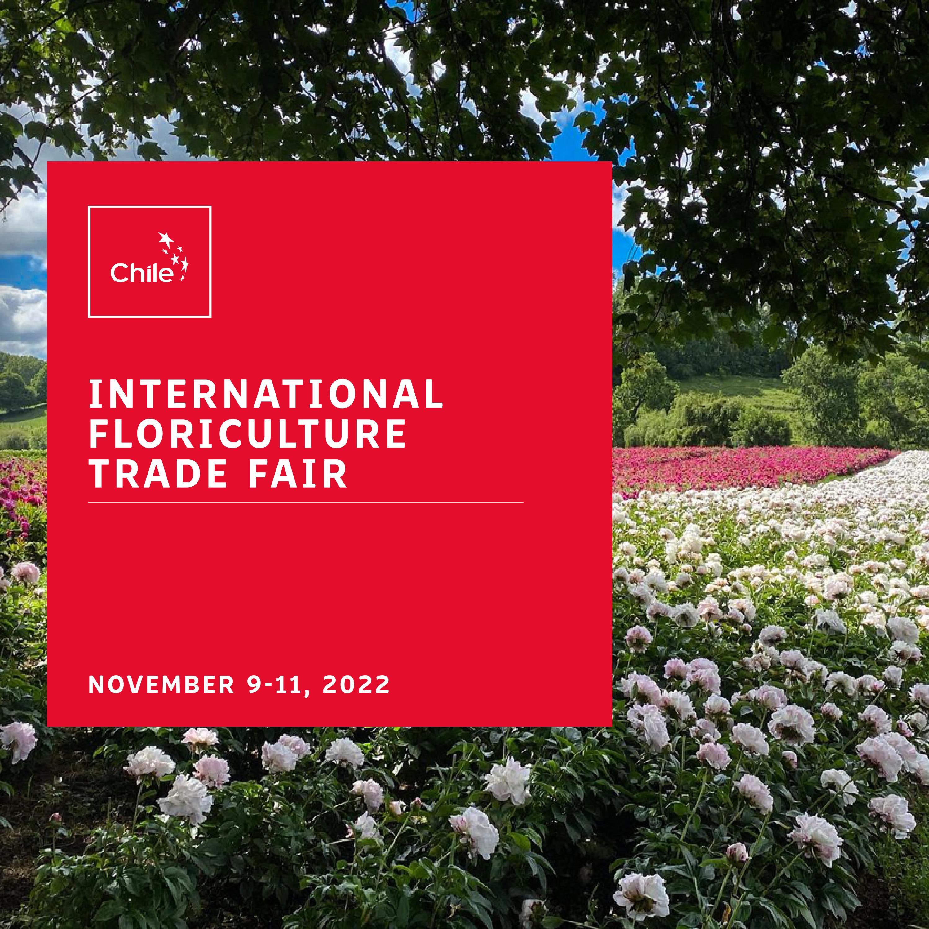 International Floriculture Trade Fair 2022 by prochile3.0 - Issuu