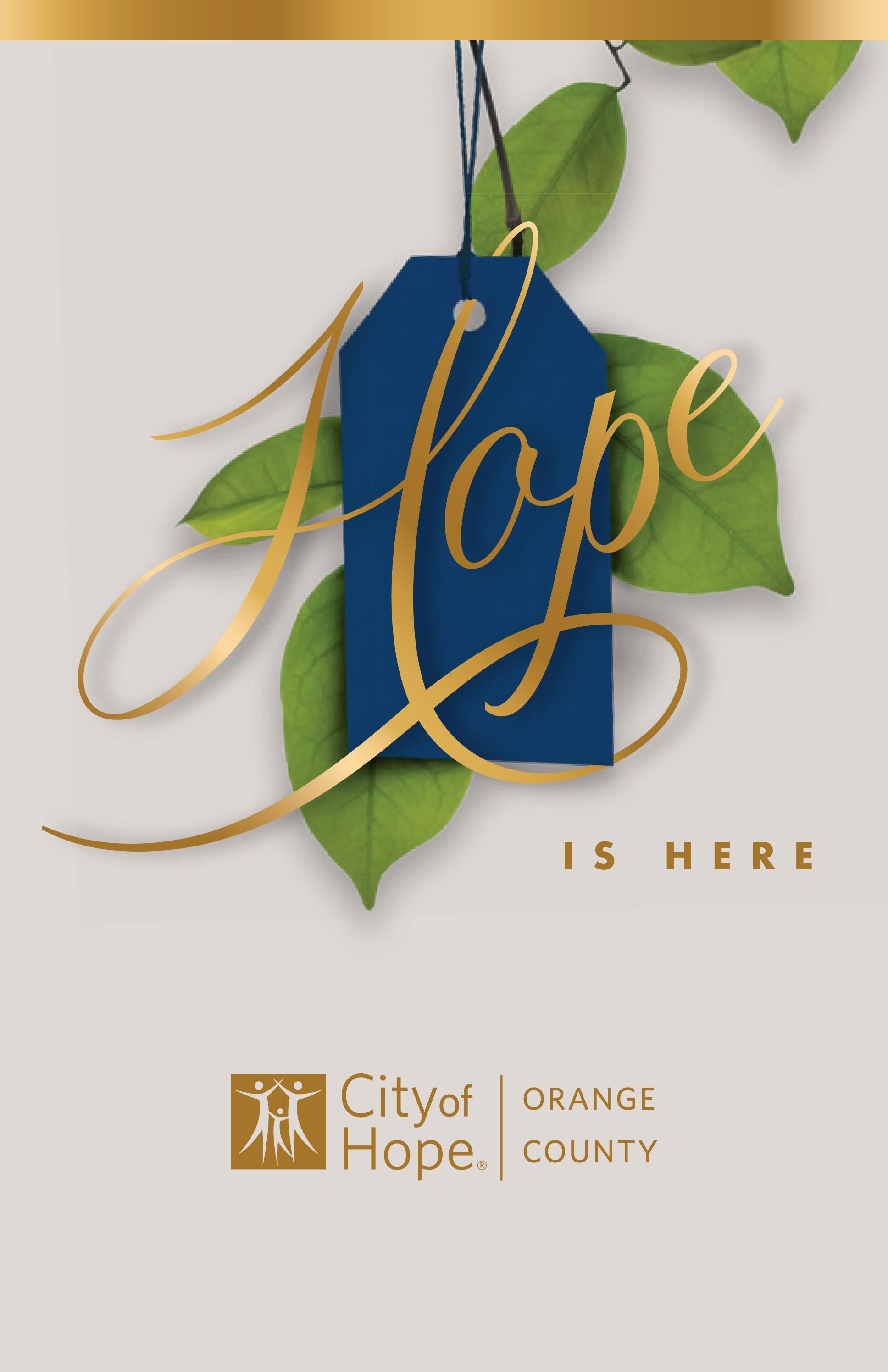 Tour Book City of Hope Orange County Lennar Foundation Cancer Center