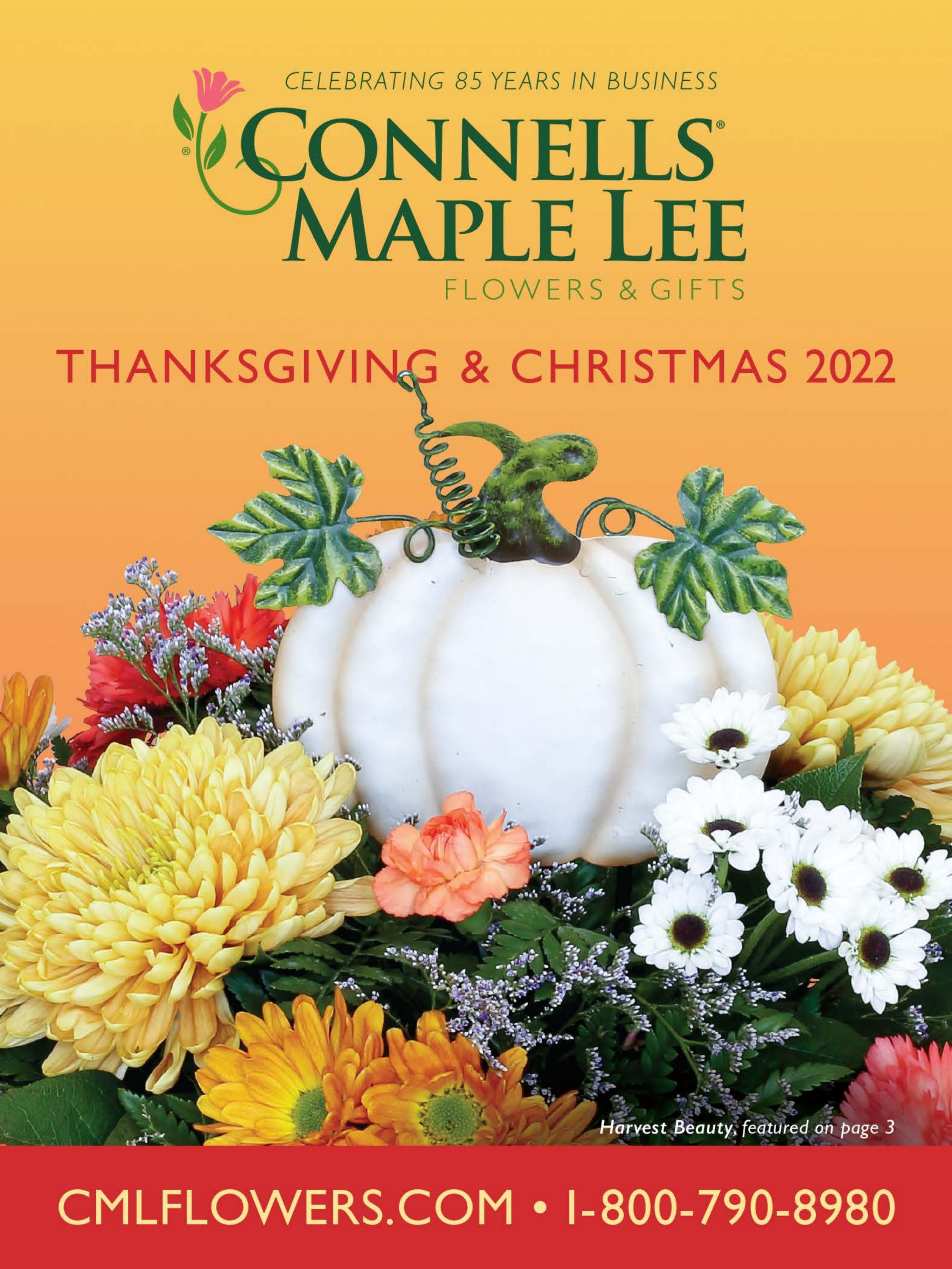 Top 85+ imagen connells maple lee Thptnganamst.edu.vn