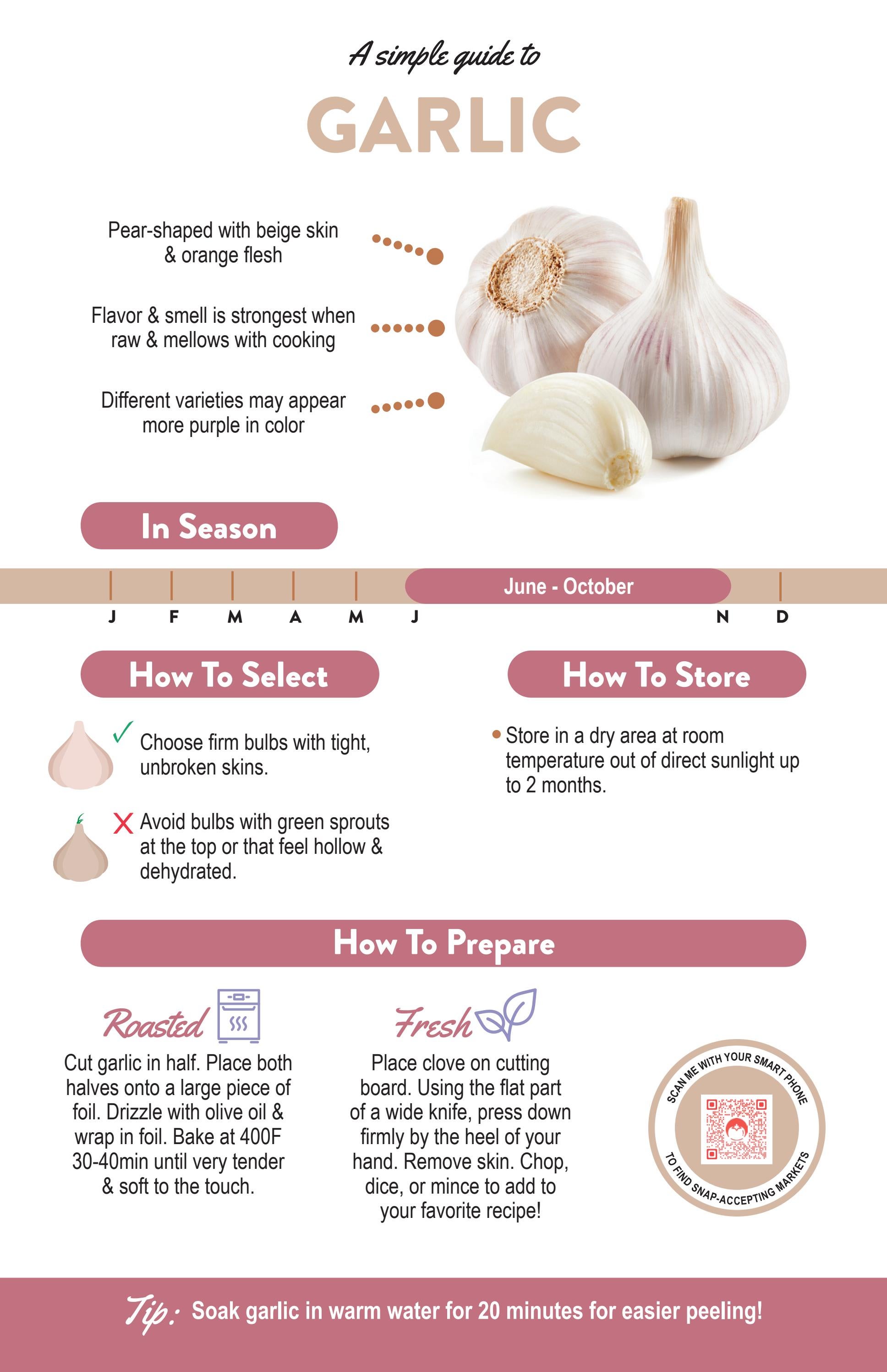 Garlic A Simple Guide (English) by The ONIE Project Issuu