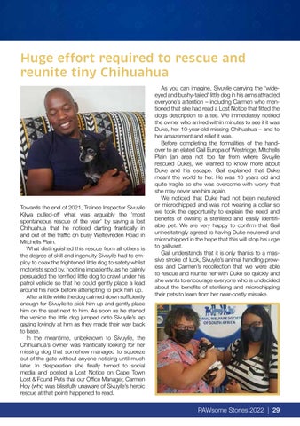Page 29