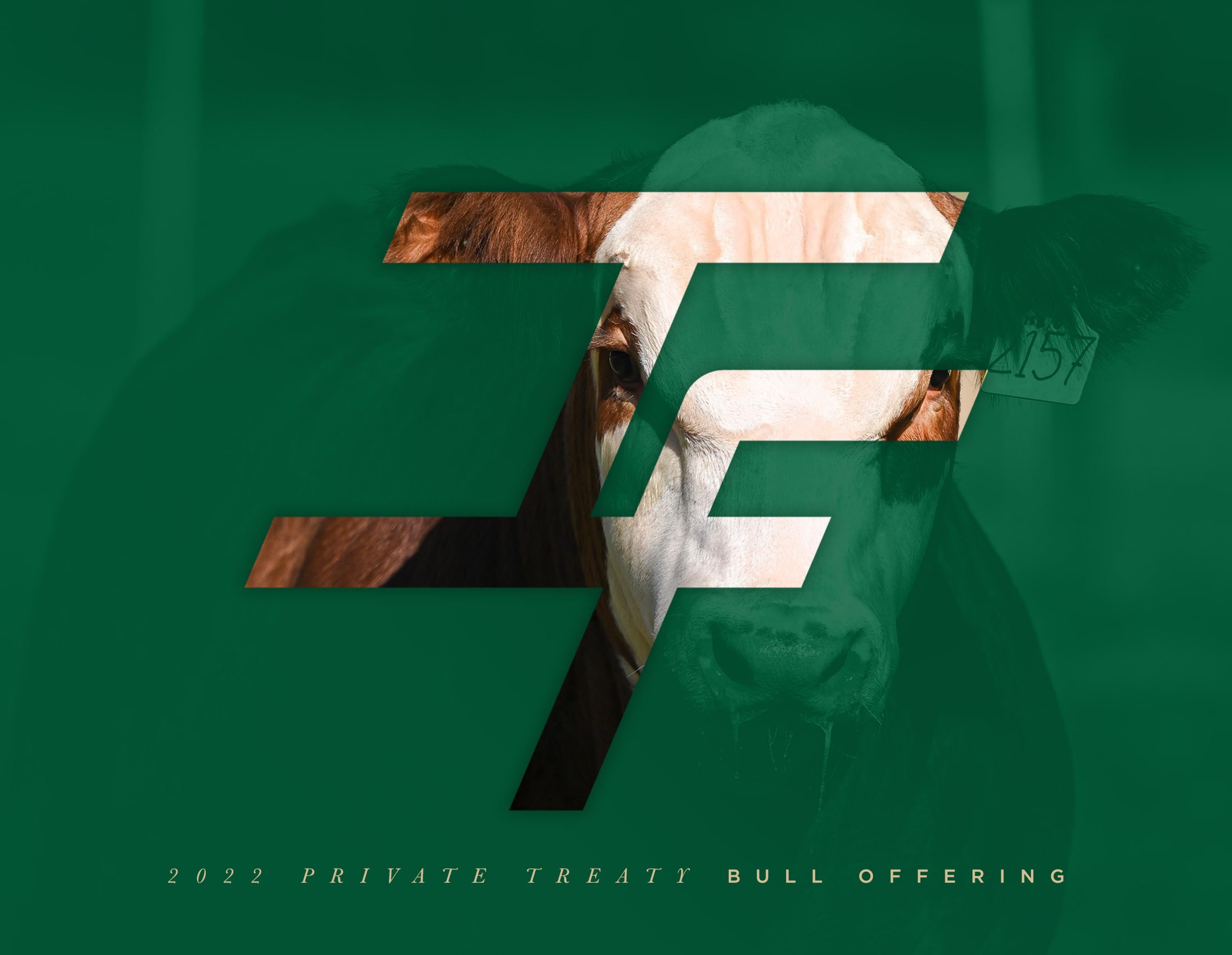 Innisfail Farm Private Treaty Bull Offering by American Hereford