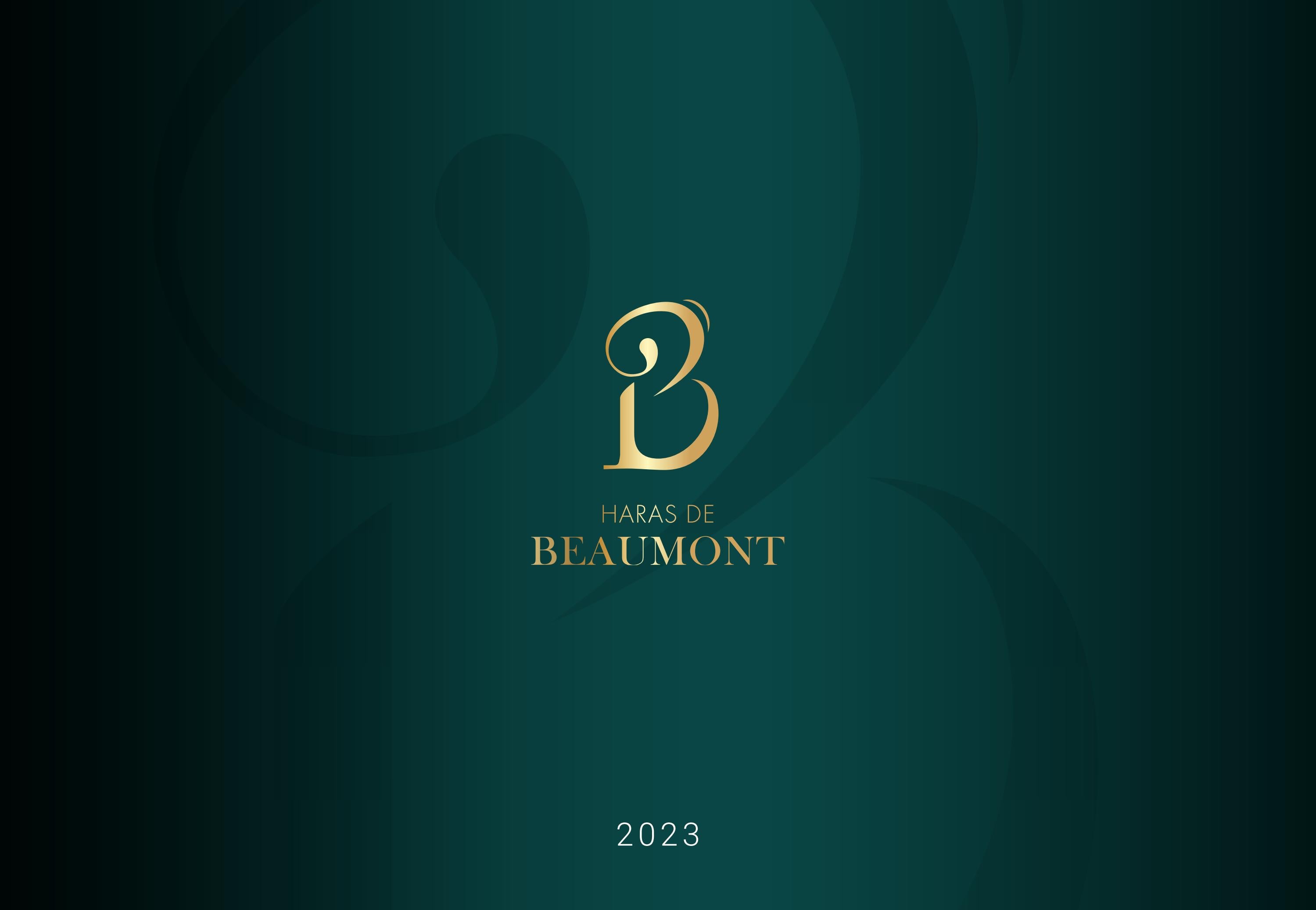 Beaumont Epic Login - mzrighy