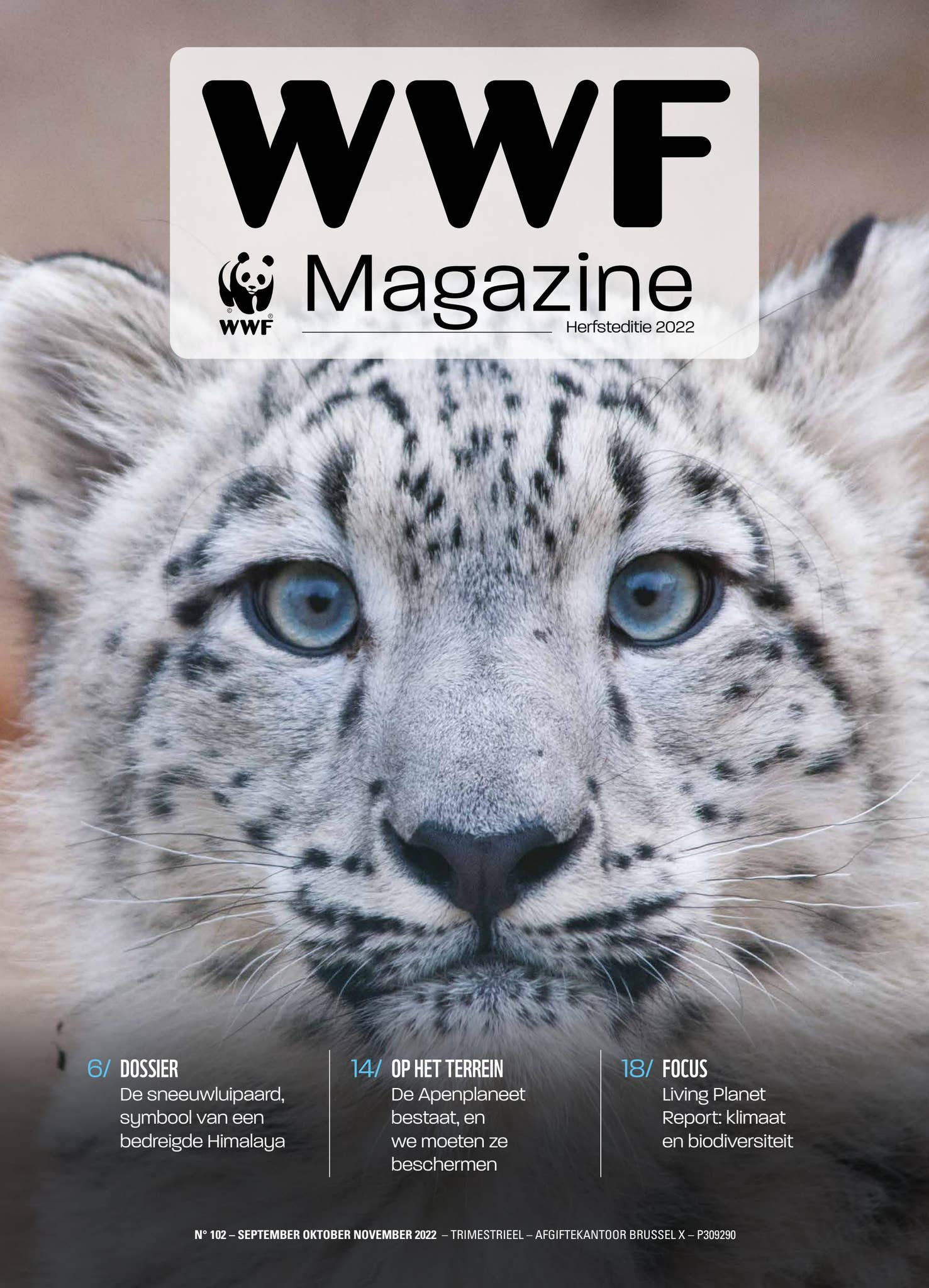 WWF Magazine 102 NL by WWF-Belgium - Issuu, image size:1477x2048