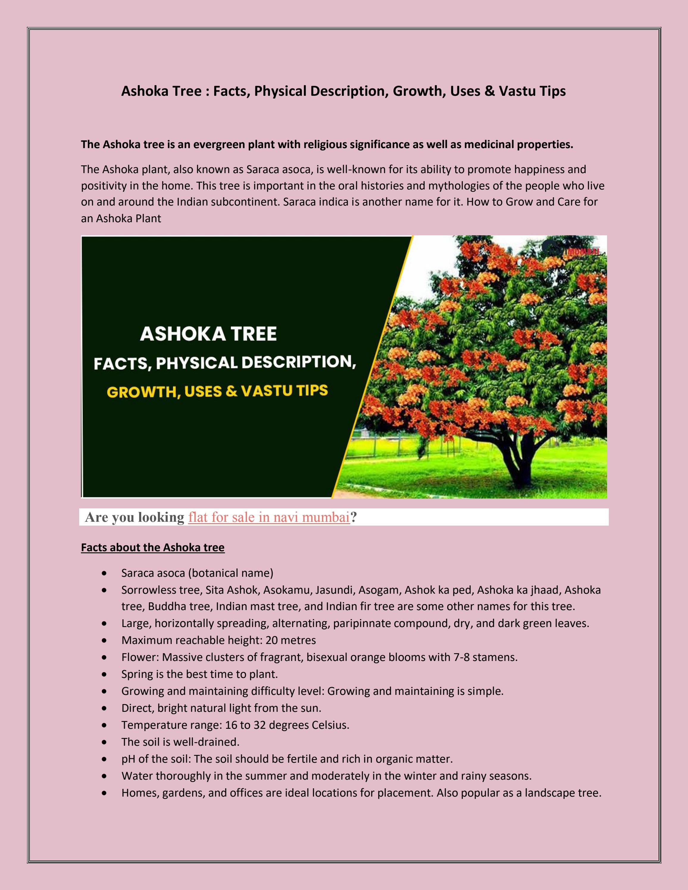 Ashoka Tree Facts, Physical Description, Growth, Uses & Vastu Tips by NHMhouses Issuu