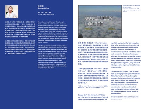 Refocusing on the Medium: The Rise of East Asia Video Art - Beijing MAM 灯饰手册 第 15 页