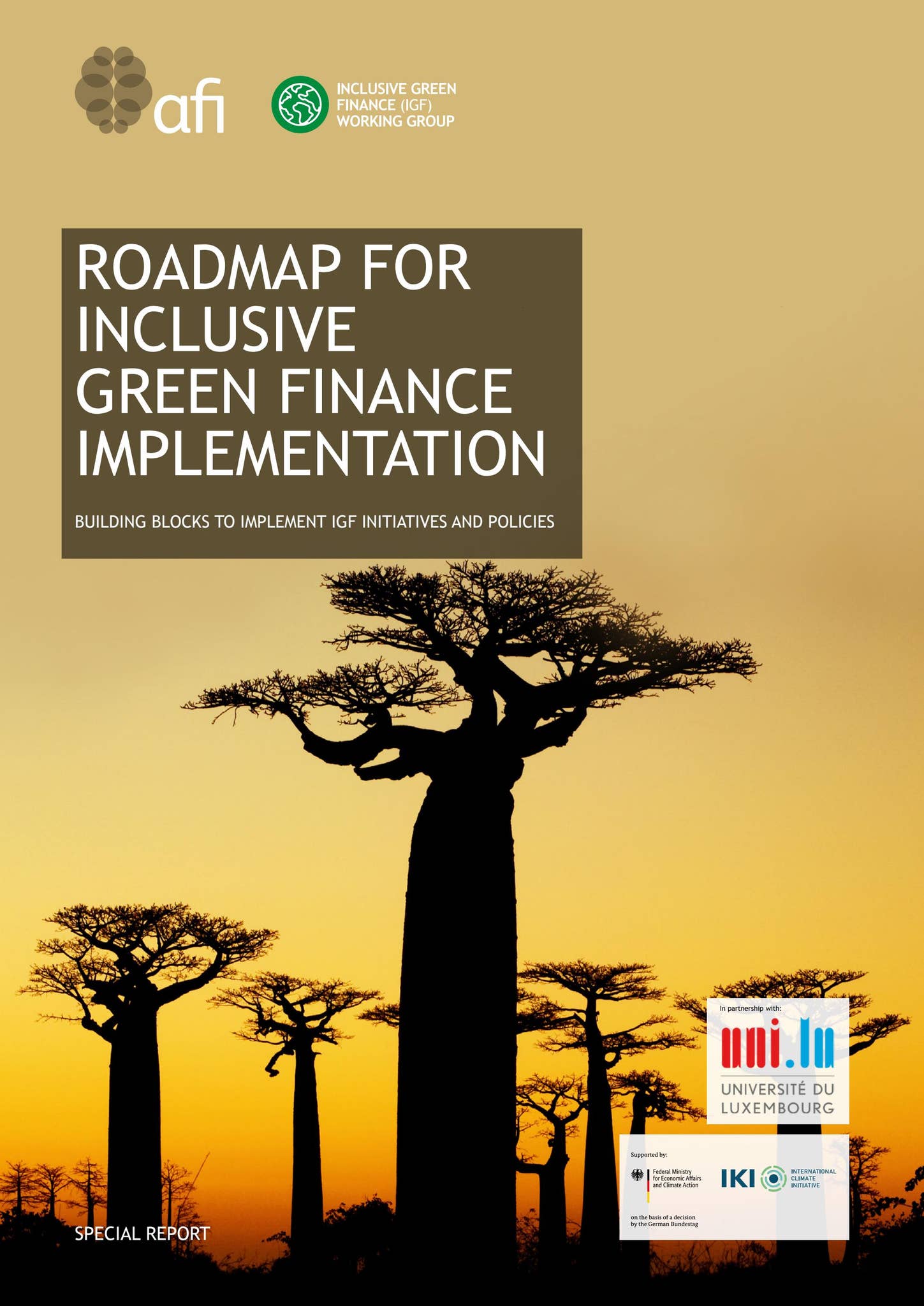 Roadmap for Inclusive Green Finance Implementation by Alliance for  Financial Inclusion - Issuu