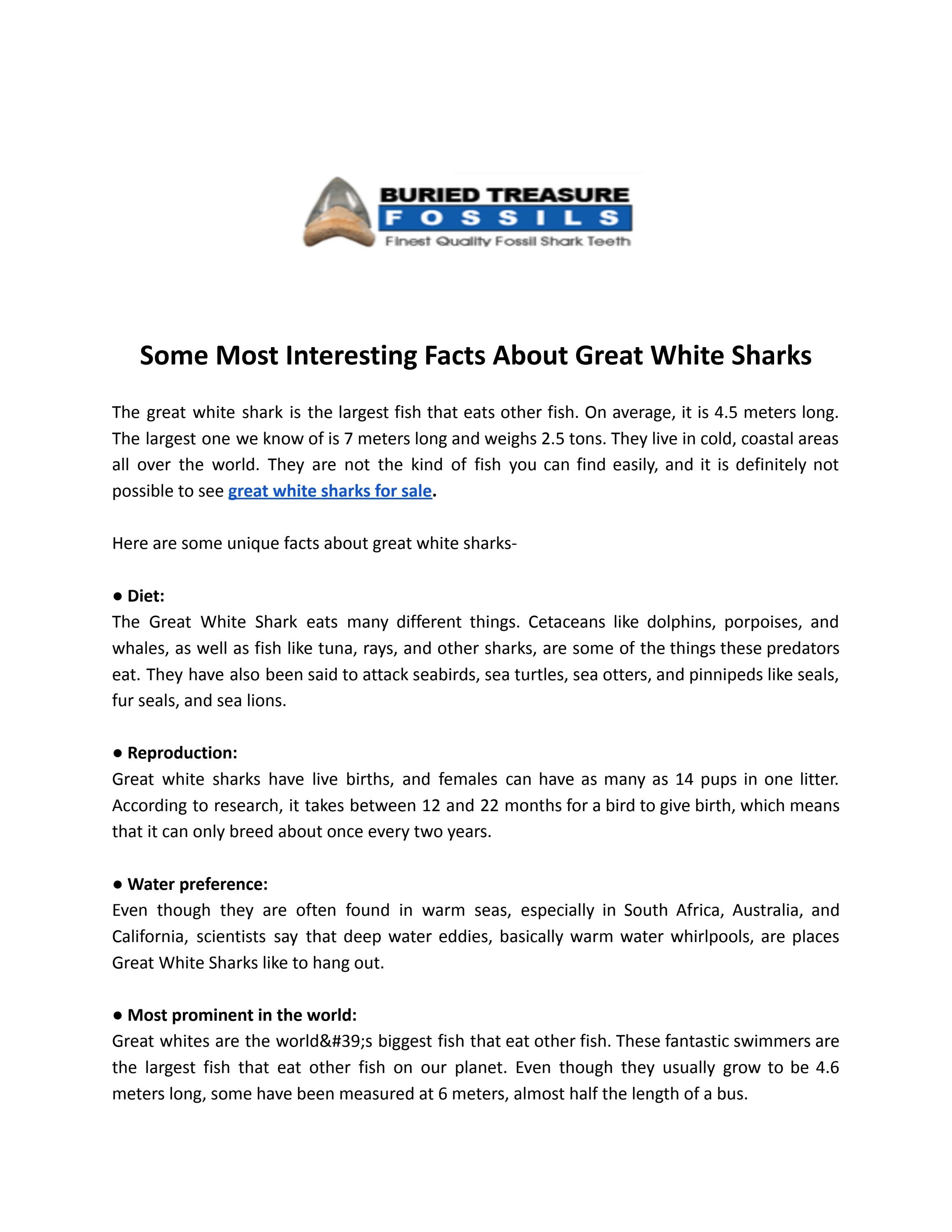 The title ofSome Most Interesting Facts About Great White Sharks your