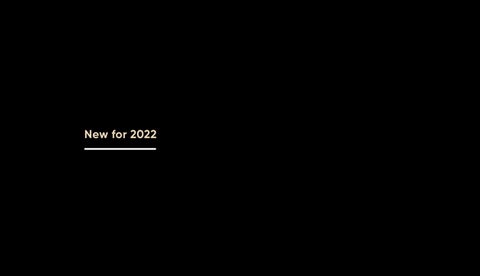 WBDWholesale 椅 Boutique 型录 2022 第 5 页