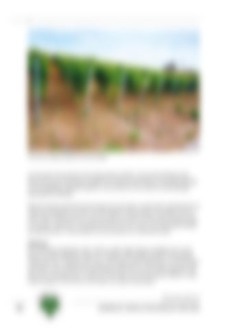 Page 231