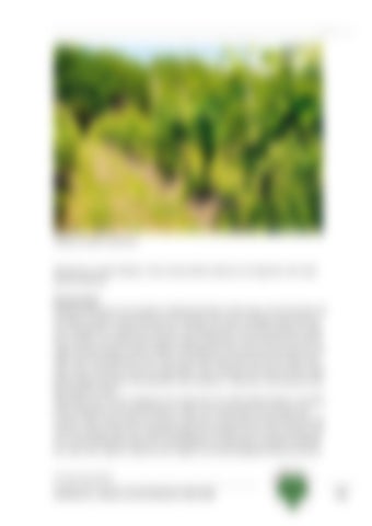 Page 246