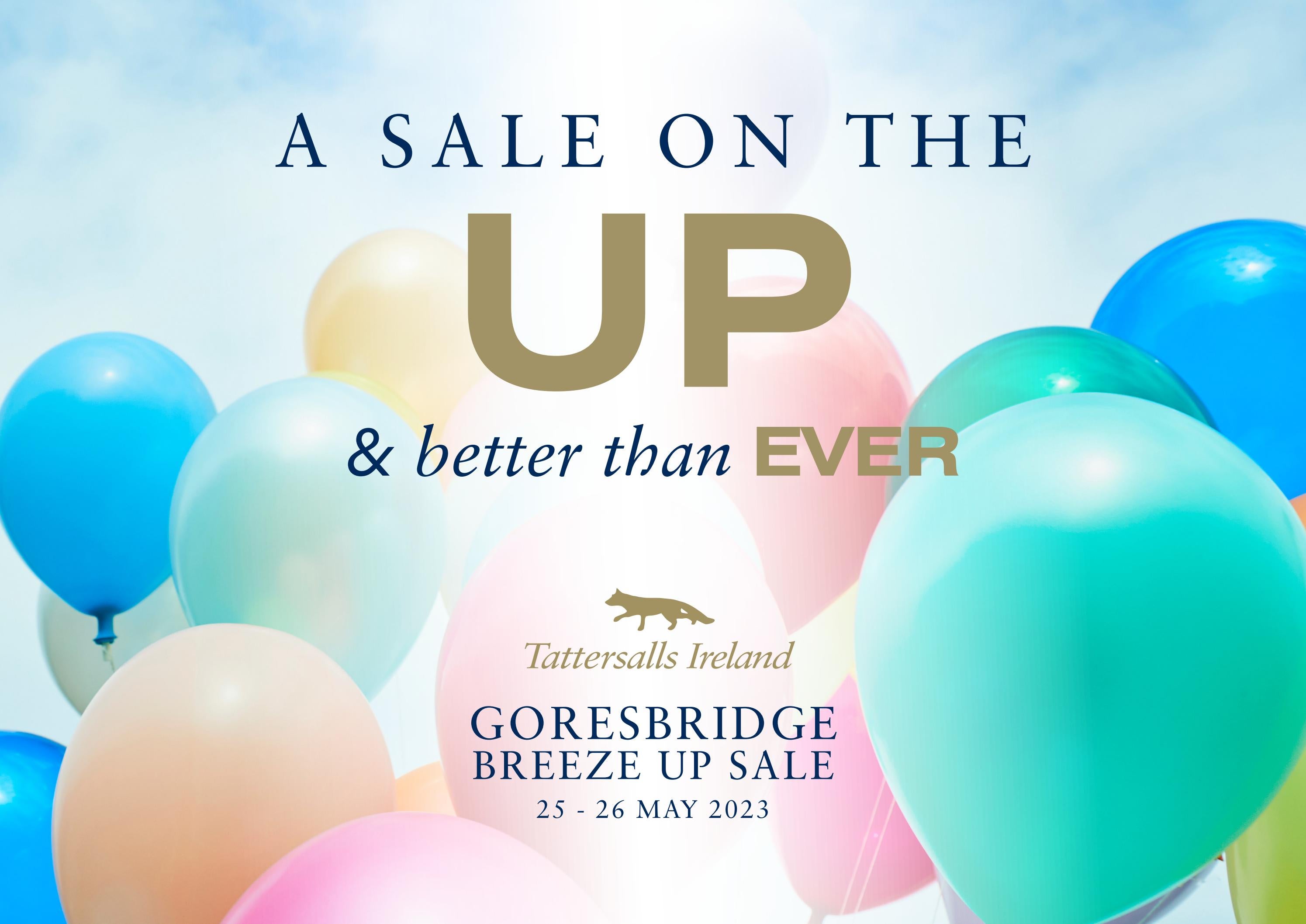 Nominate Now Goresbridge Breeze Up Sale 2023 by Tattersalls Ireland
