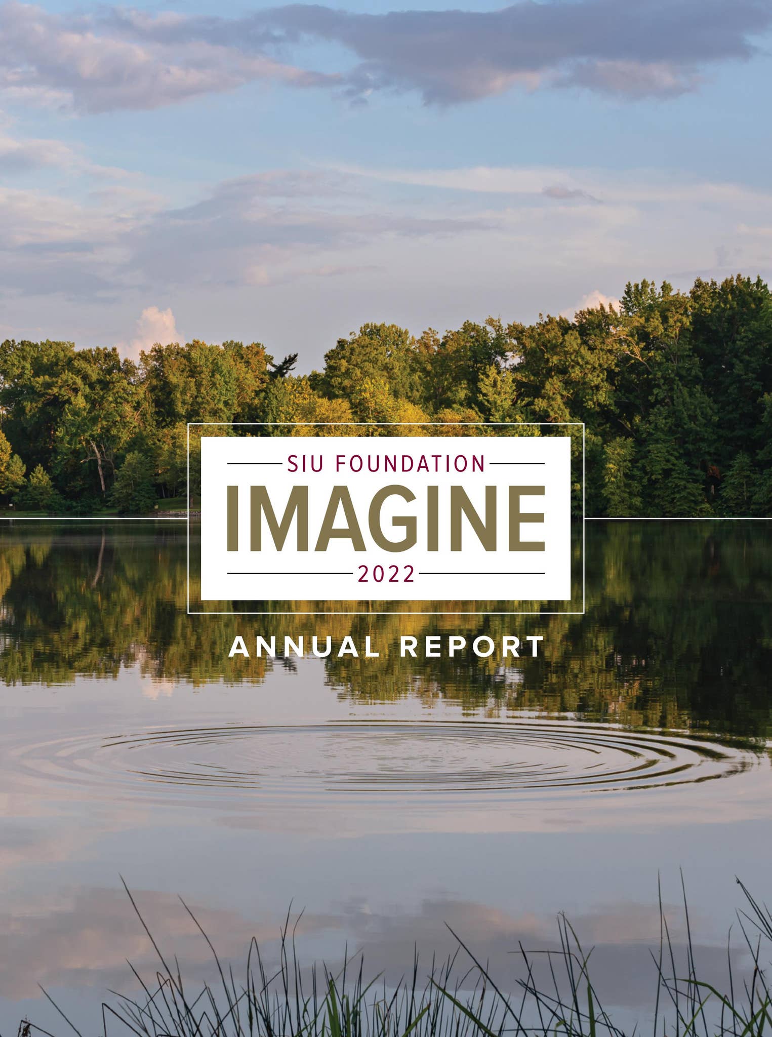 SIU Foundation 2022 Annual Report: Imagine by SIU Foundation - Issuu