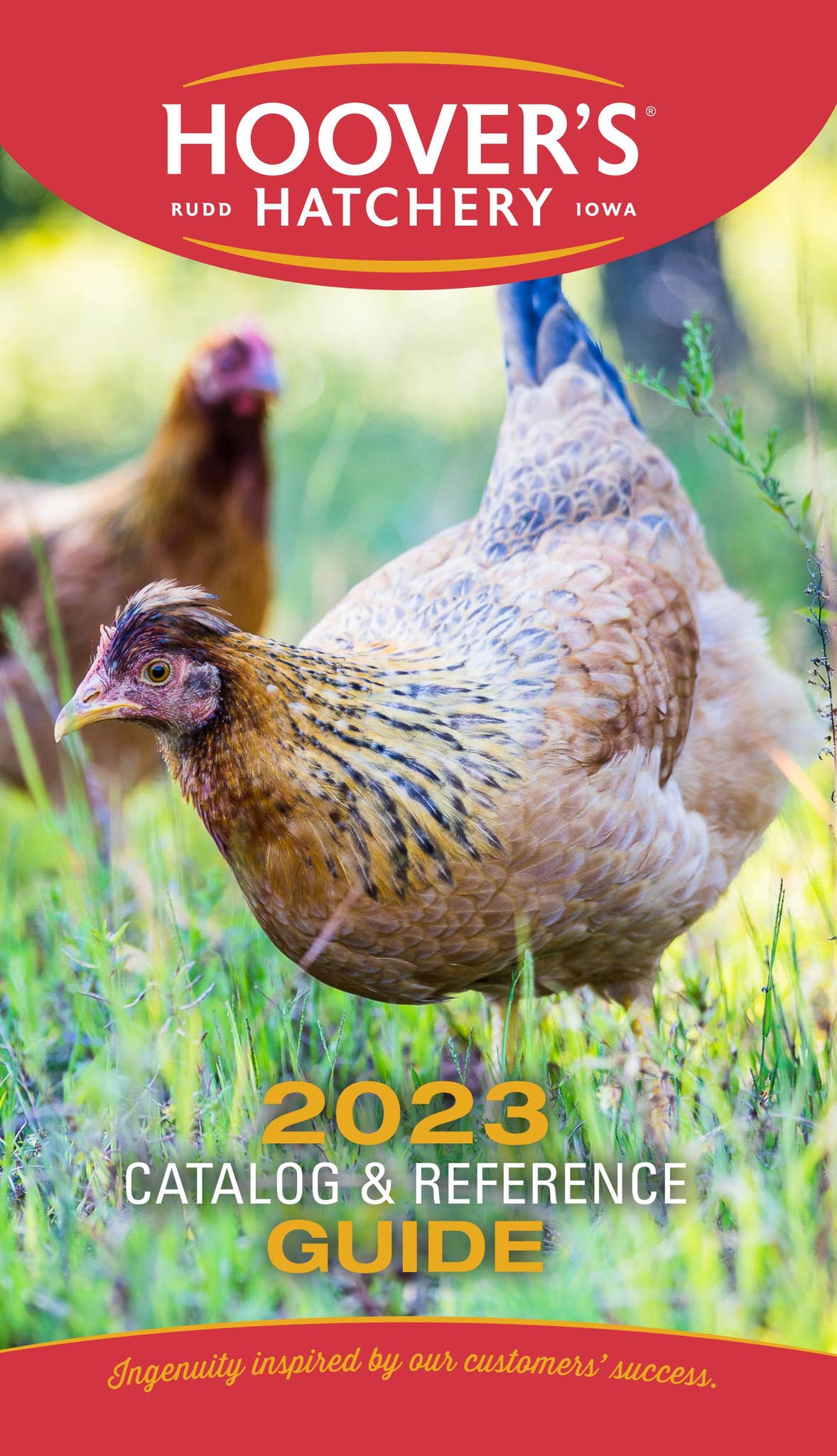 2023 Hoover's Hatchery® Wholesale Catalog by Hoover's Hatchery Issuu