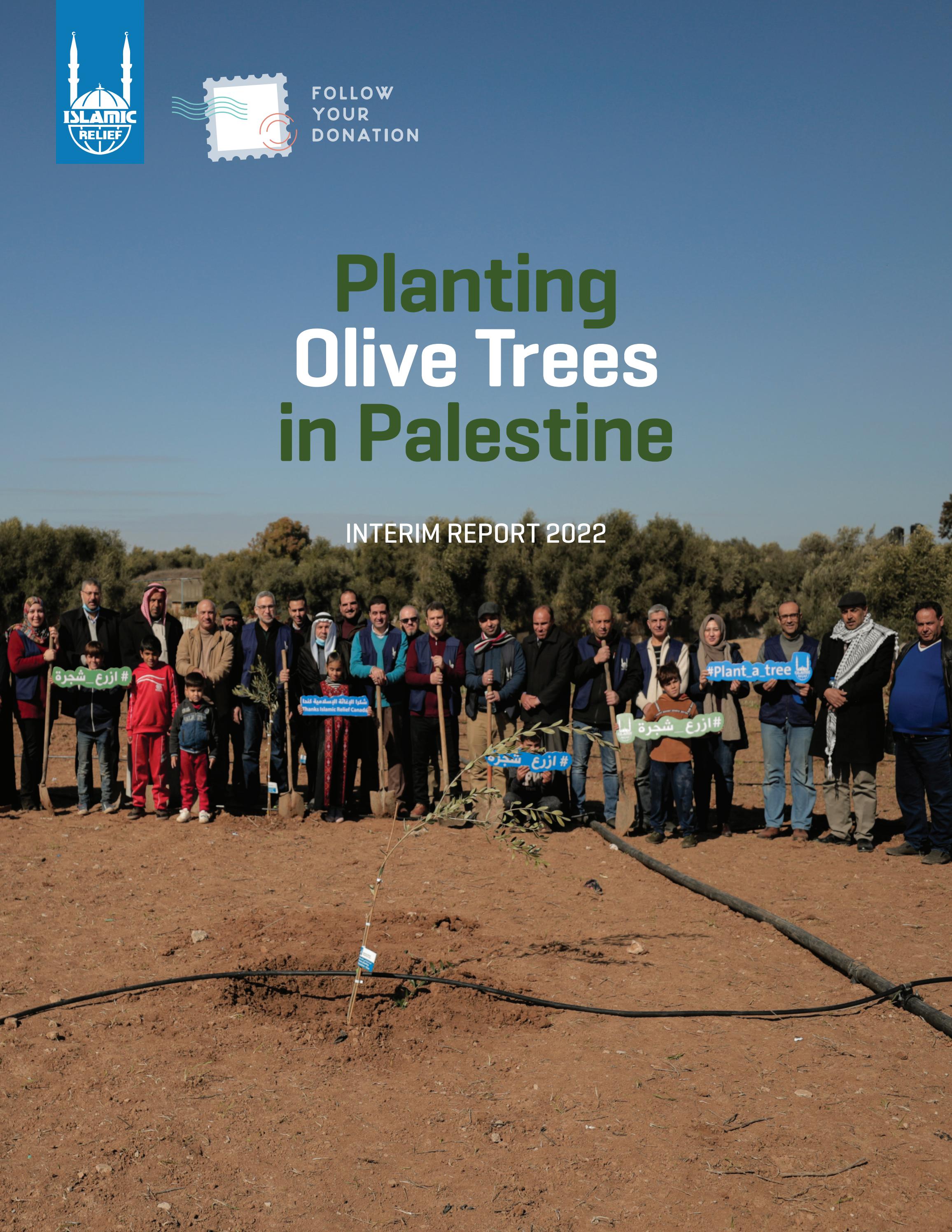 Planting Olive Trees in Palestine Interim Report Islamic Relief