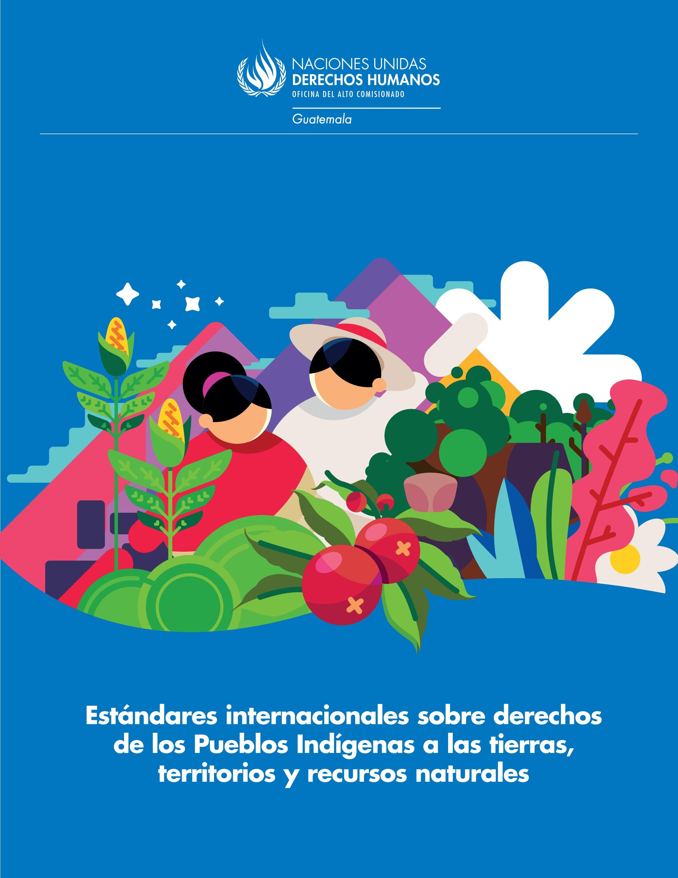 Estándares sobre derechos de los Pueblos Indígenas a las tierras ...