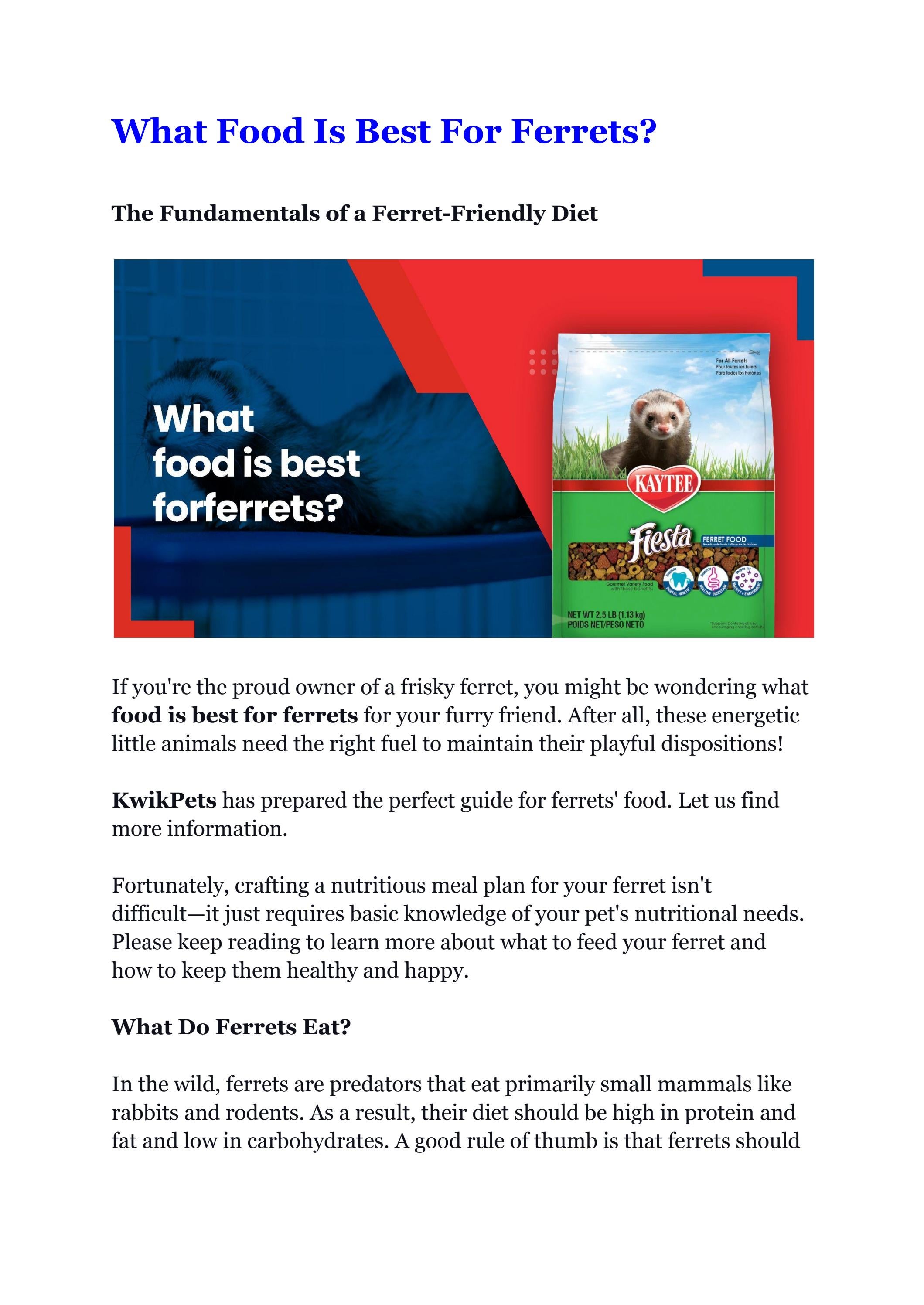What Food Is Best For Ferrets? by kwikpets - Issuu