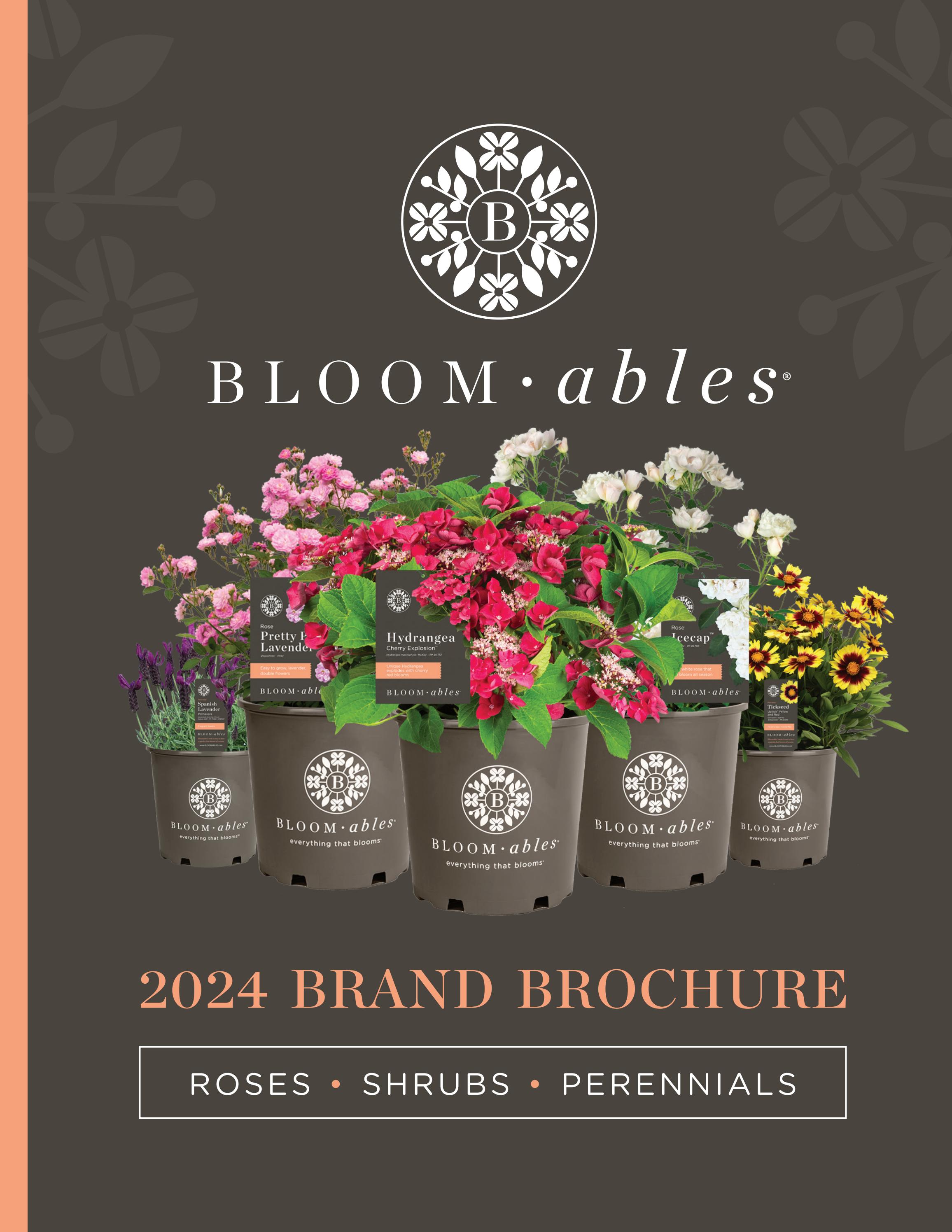 2024 Bloomables® Brand Brochure by Star® Roses and Plants - Issuu