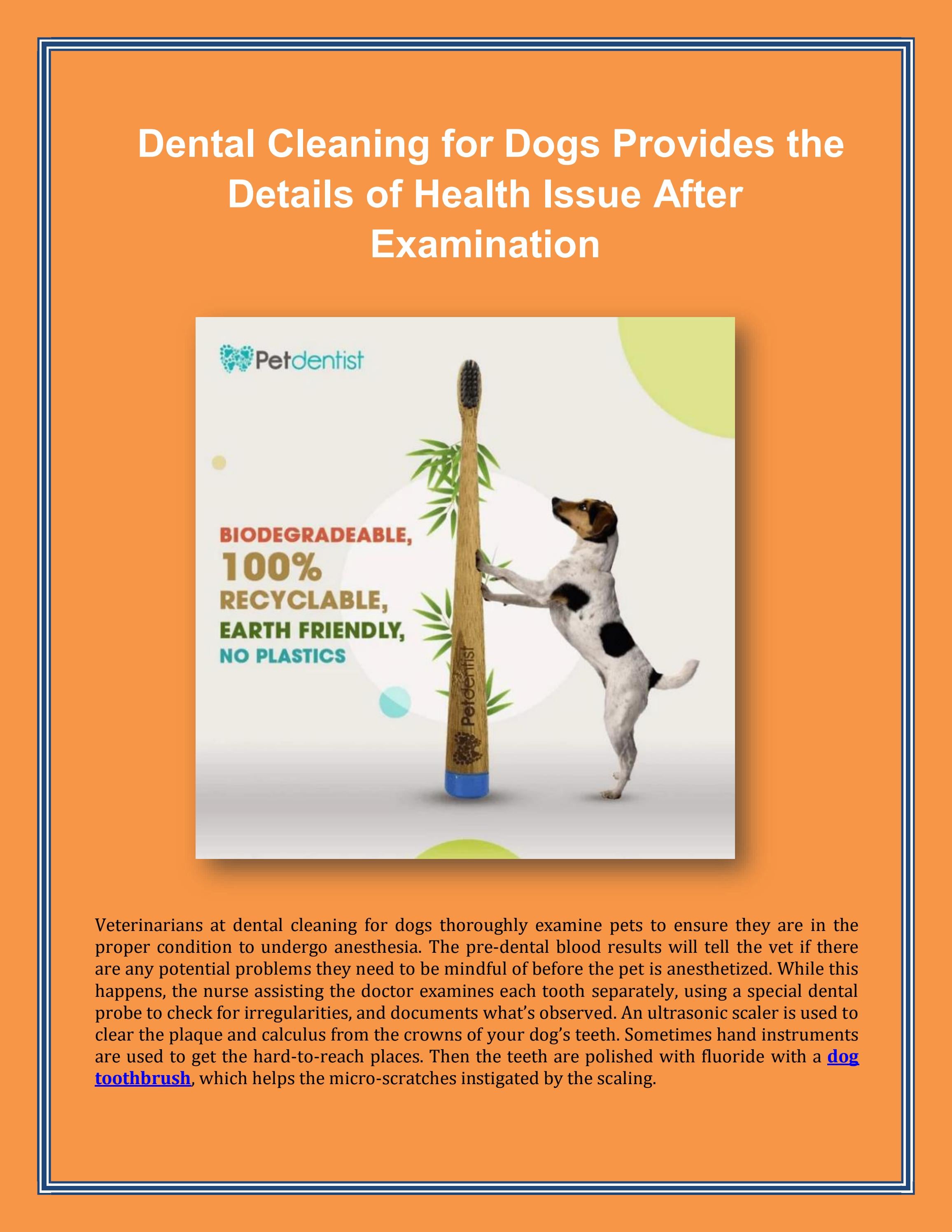 Dental Cleaning for Dogs Provides the Details of Health Issue After