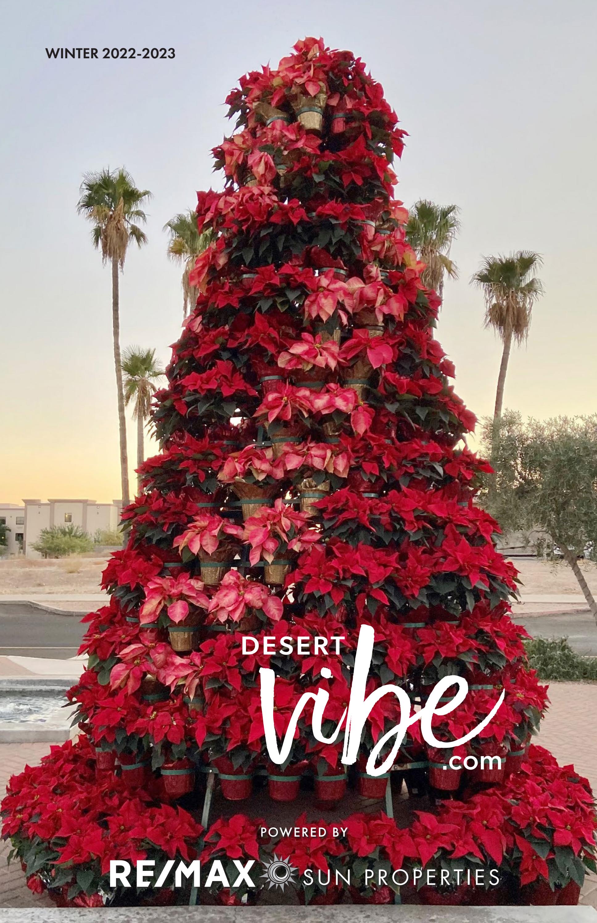 RE/MAX Desert Vibe Winter 202223 by REMAX Sun Properties Issuu
