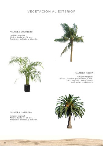 diana_ochoa8a 灯饰目录 德文 iluminación/vegetación 第 10 页