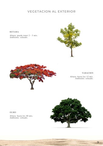 diana_ochoa8a 灯饰目录 德文 iluminación/vegetación 第 11 页